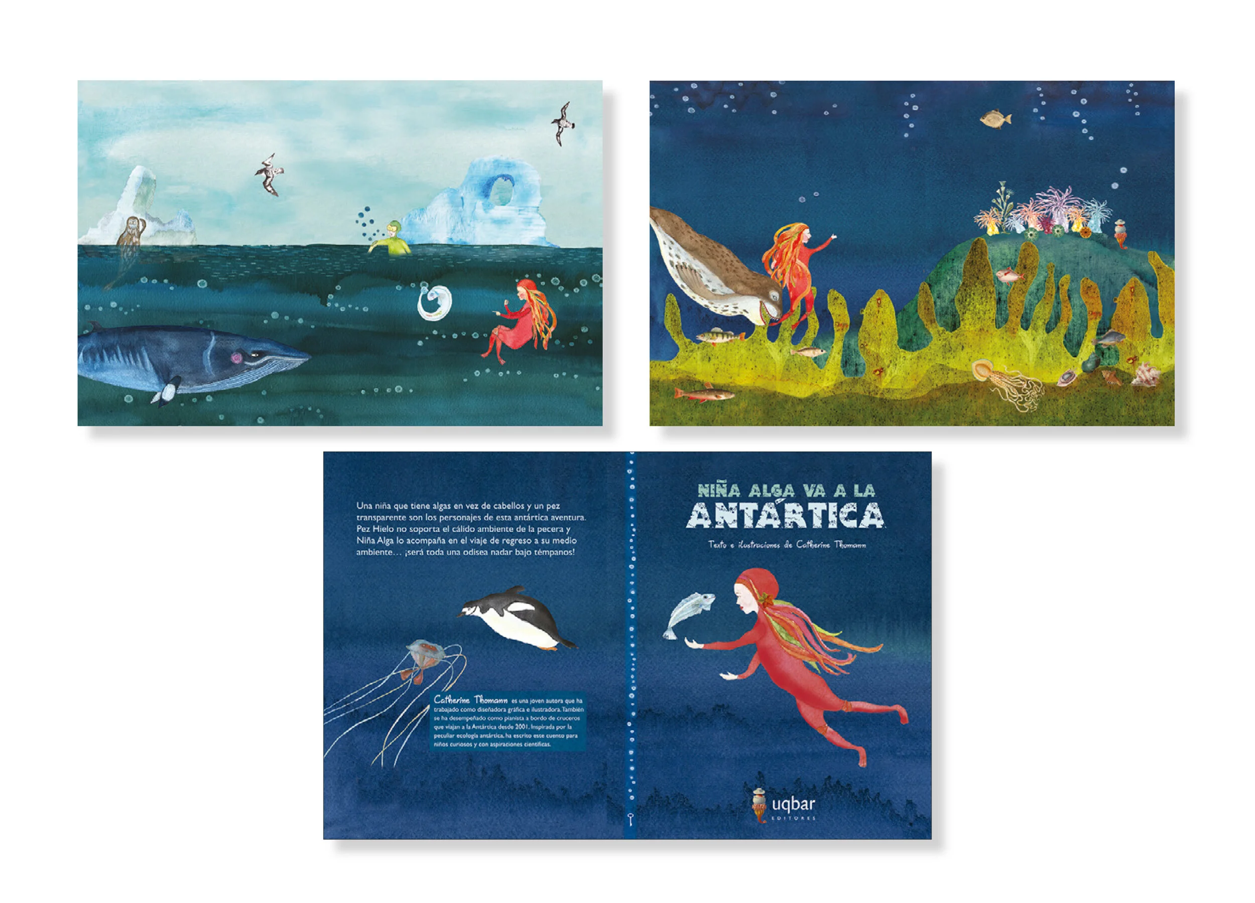  The work consisted of investigating the continents marine biology, writing of the story, illustrating, diagramating and finally printing of the book.   Awarded by Fondart, Chile.  