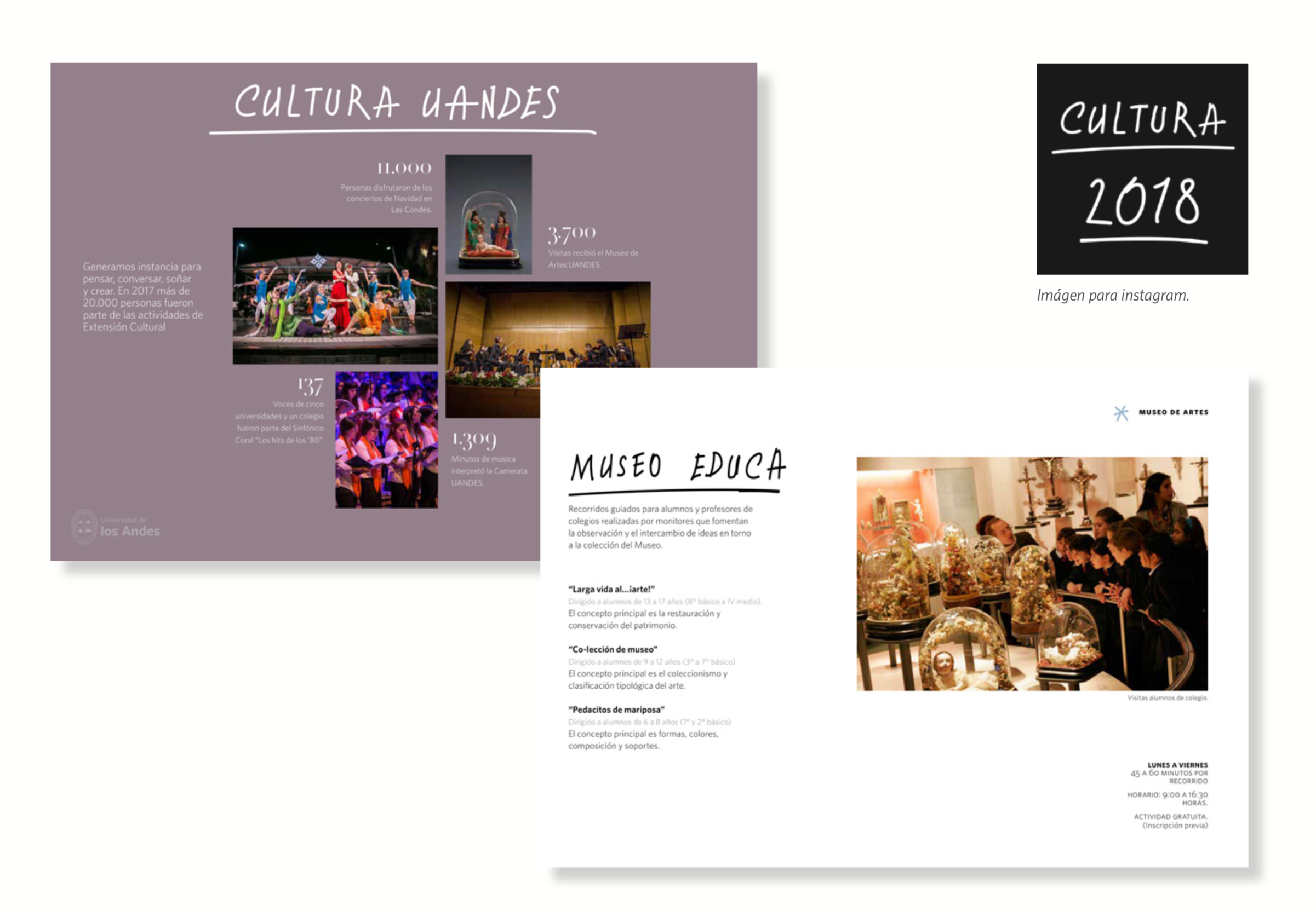 Cultura UAndes Identity