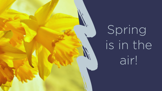 Spring is in the air!