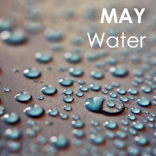 May - 2.jpg