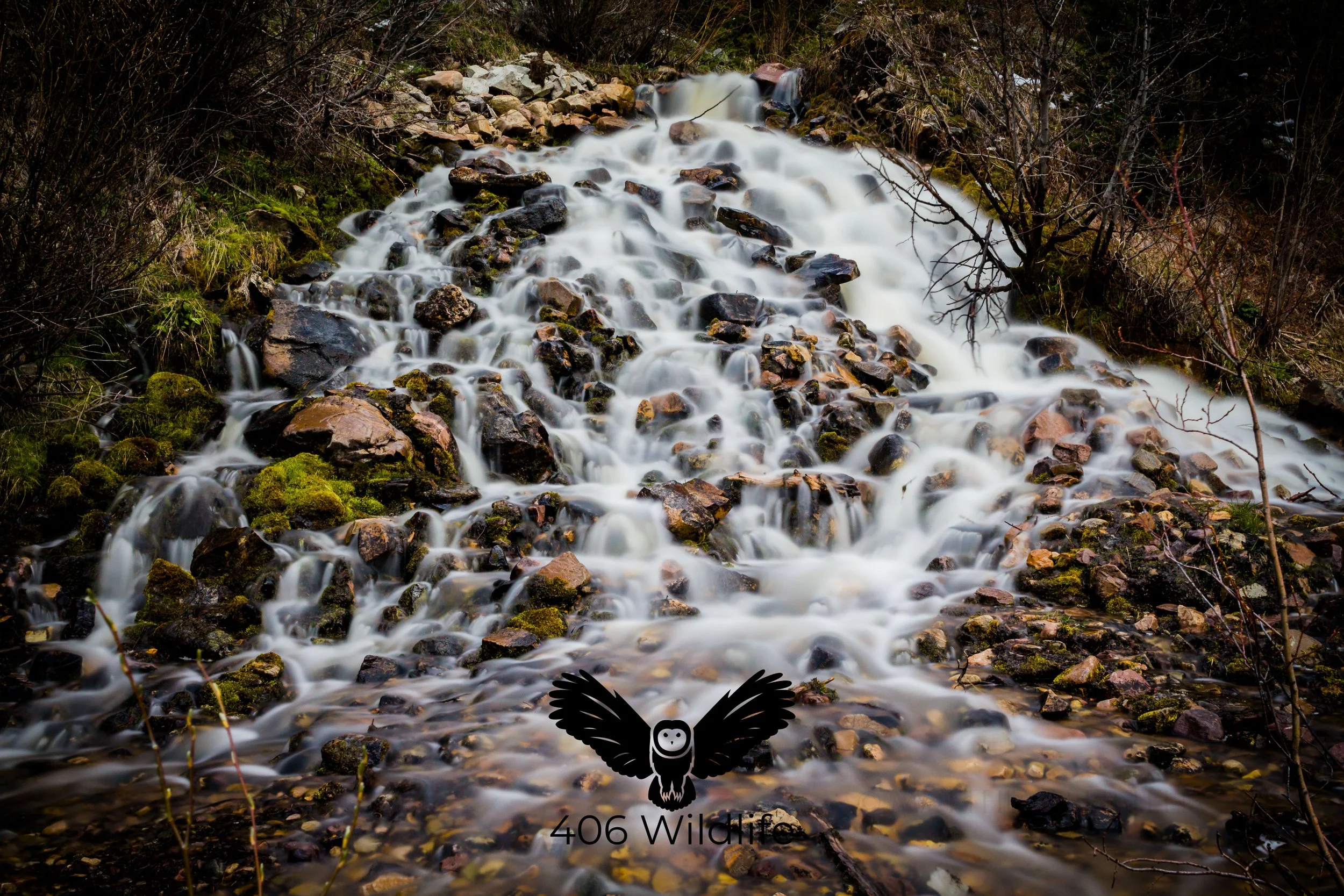 Springtime Runoff.jpg