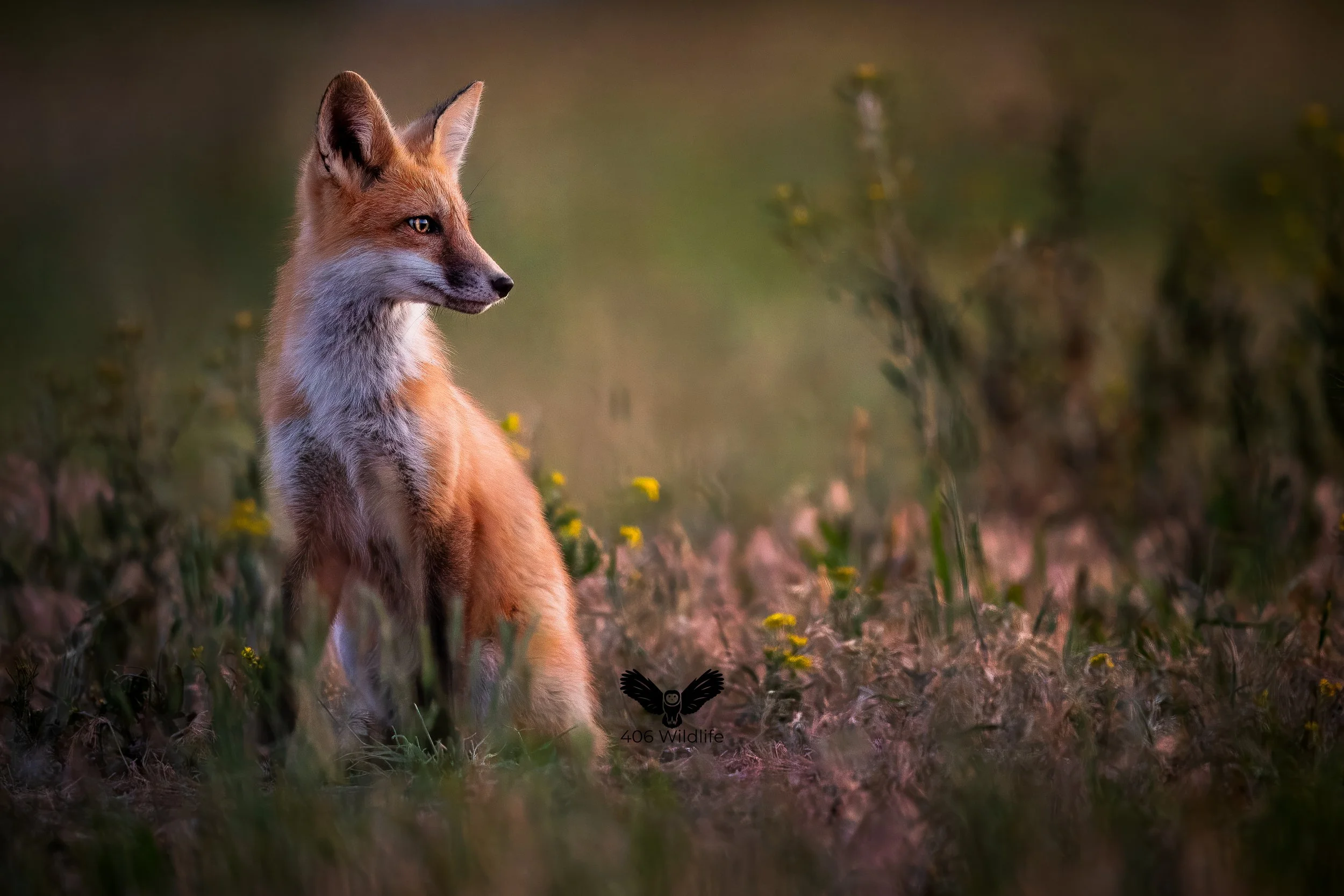 Awaiting Return 