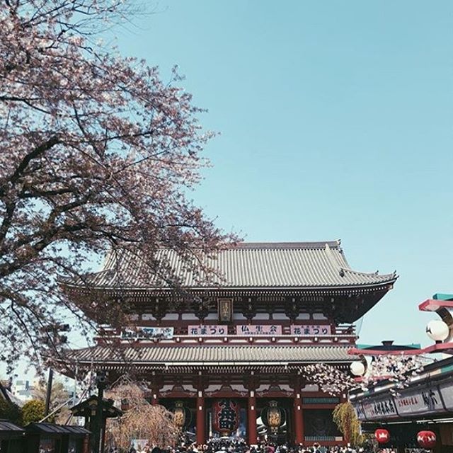 Japan is known as the land of the rising sun and for us represents a place with exceptional charm and breathtakingly rich history, where ancient traditions are effortlessly fused with modern life. 
Japan Travel Story up on the website. Link in Bio. 
