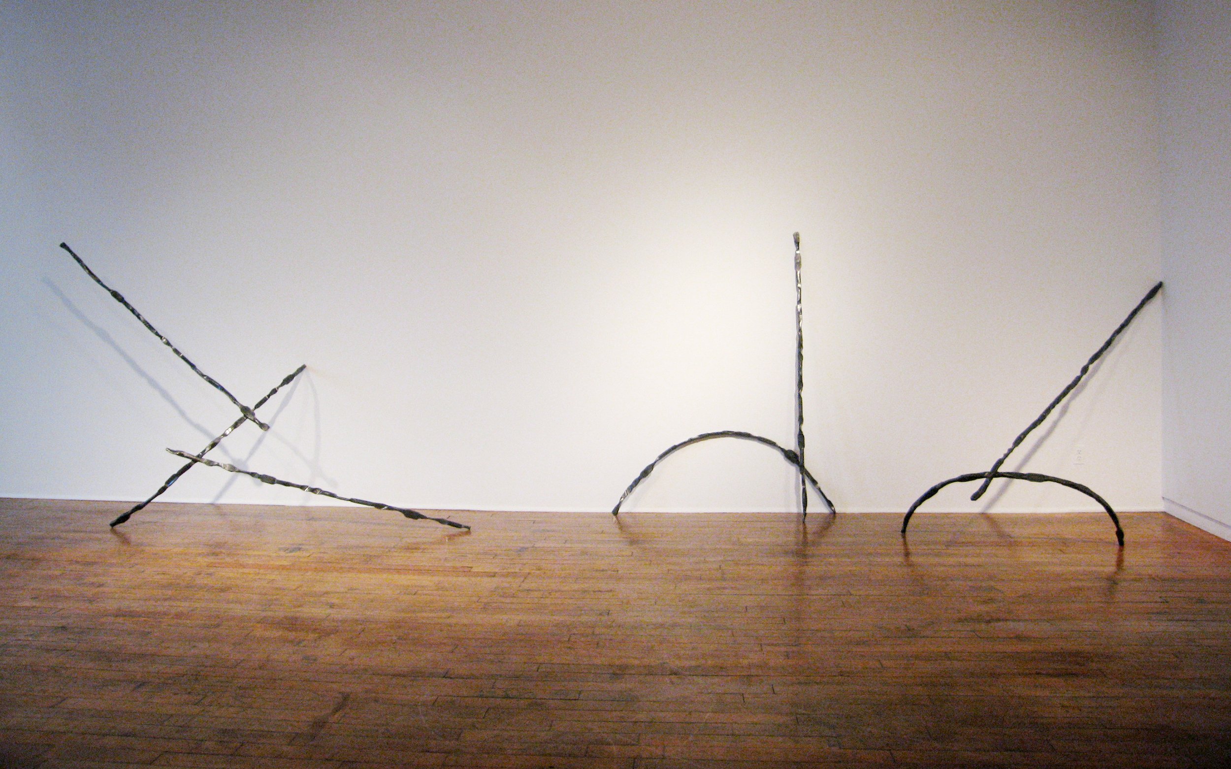 Uccellos (III, II, & I, installation view), 2007