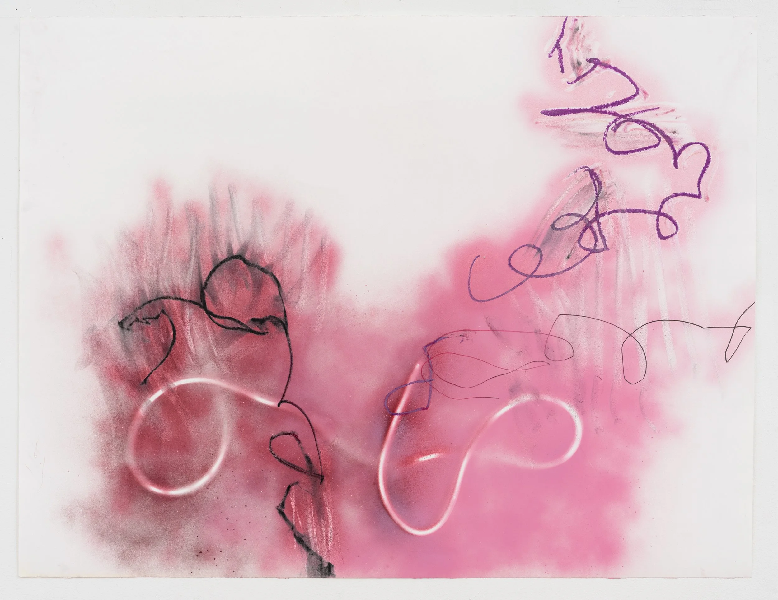 Telemann VIII, 2015