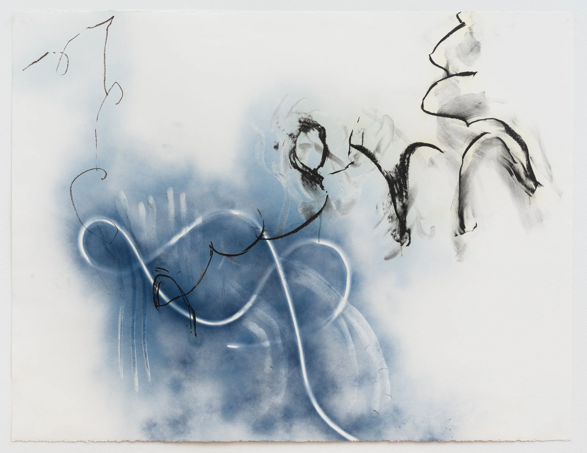 Blue Calligraphy III, 2015