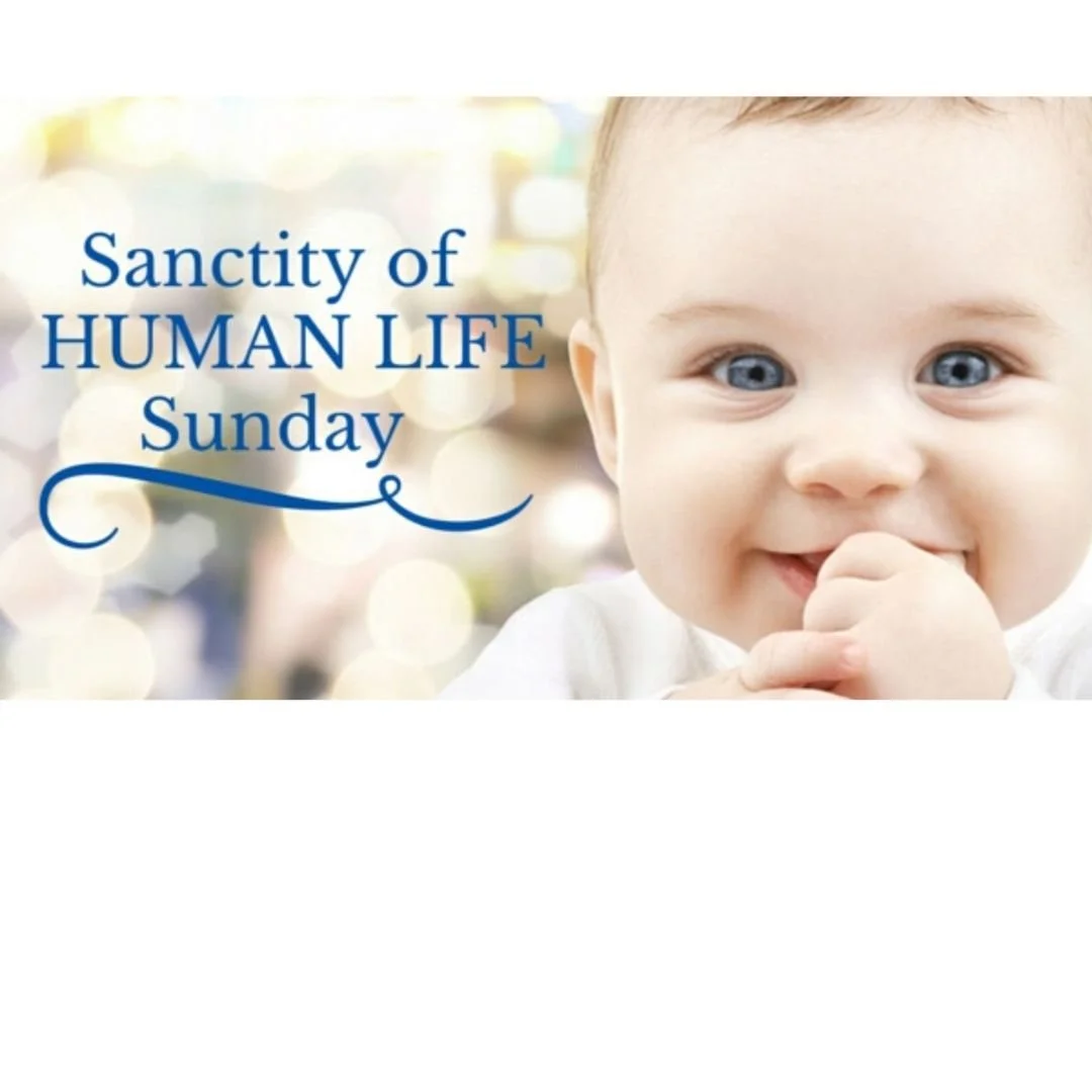 Human Sanctity Sunday