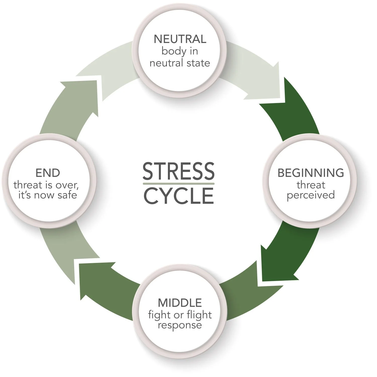 August - Completing the Stress Cycle