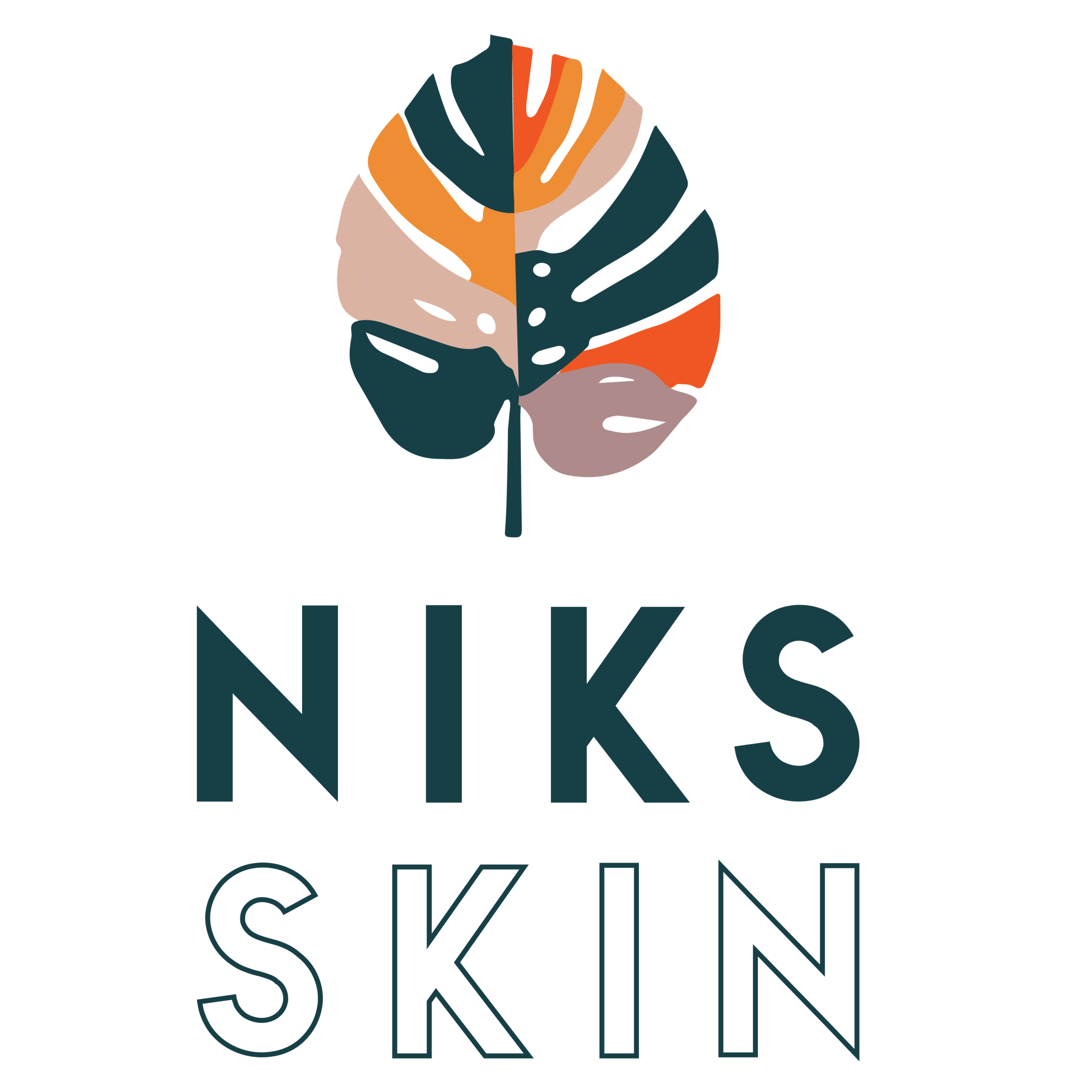 Niks Skin