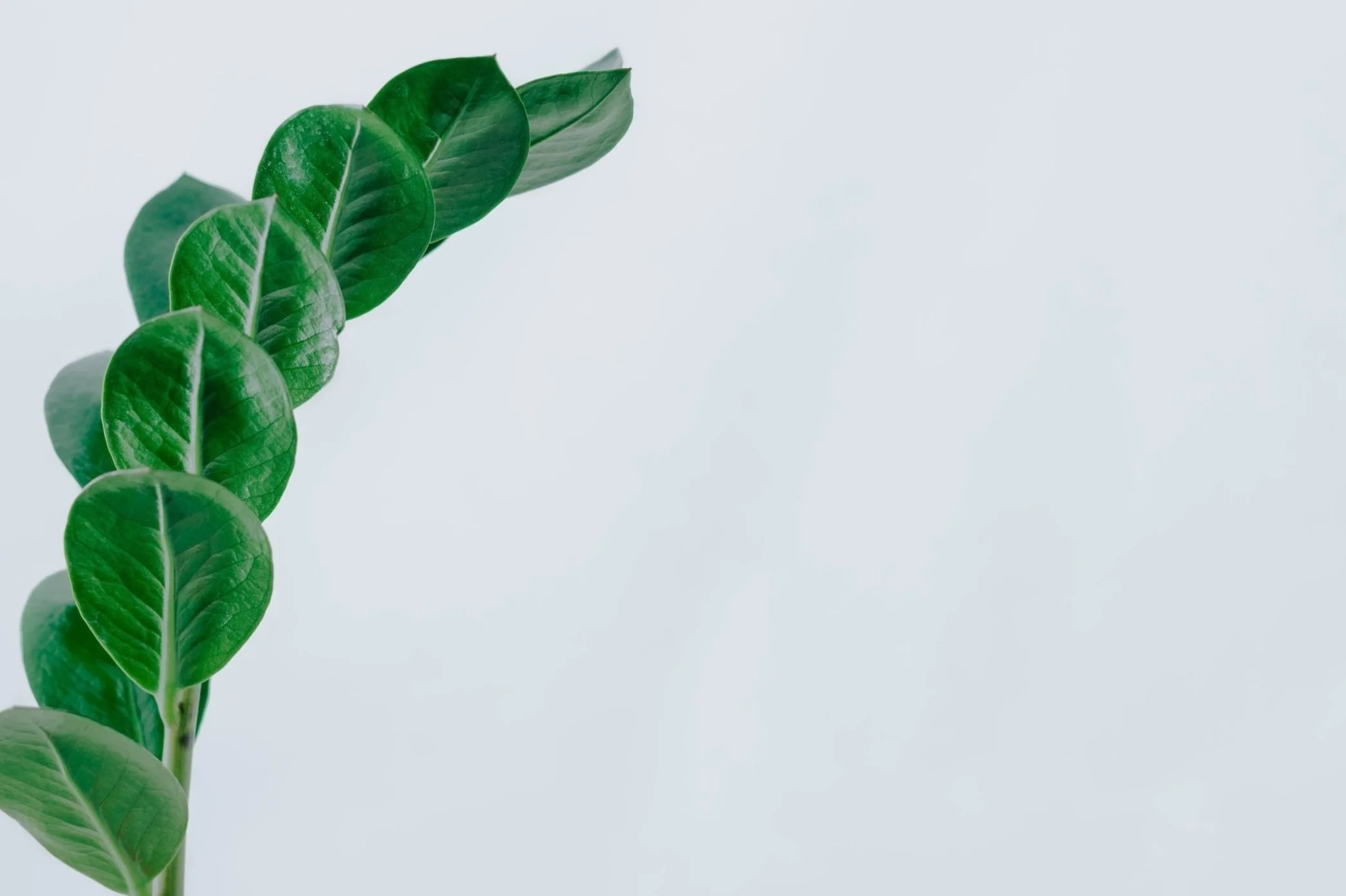 Baltimore Psychiatrist — Kevin D. Strouse, M.D.