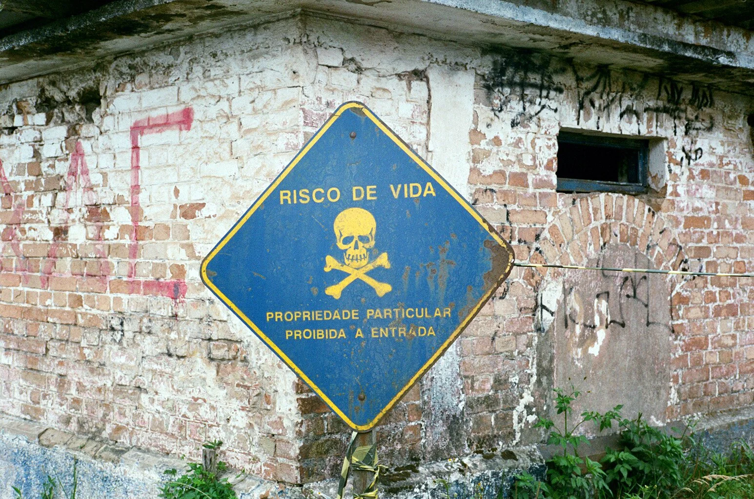 21410002 copy.jpg