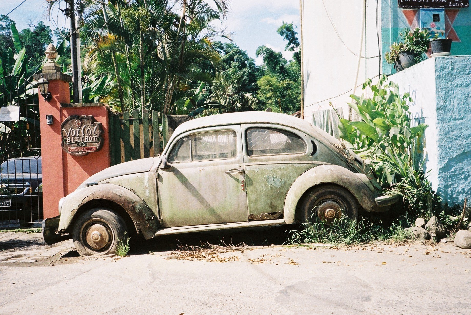  Rusty Beetle in Rio de Janeiro - Brazil 