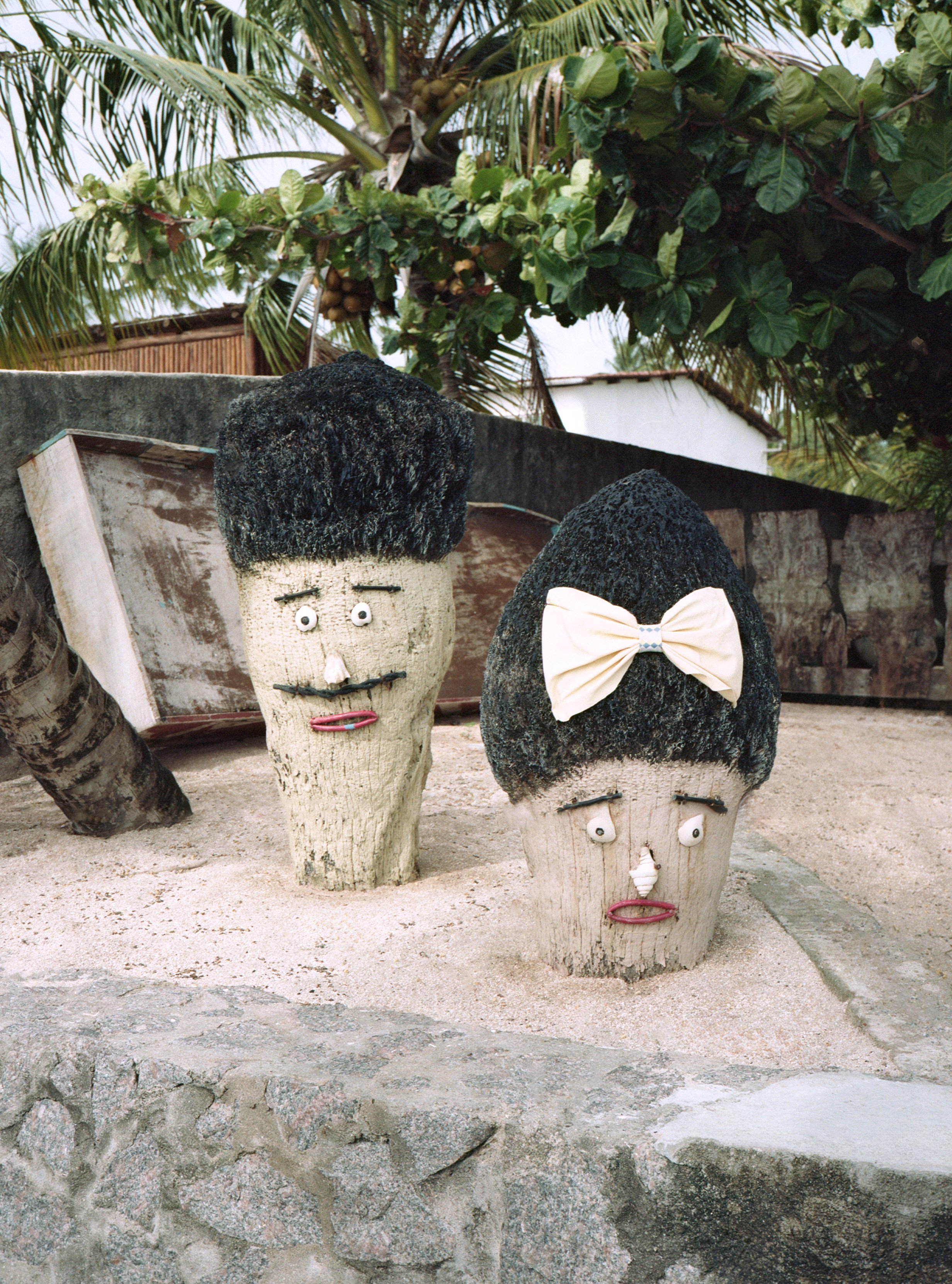 Faces done in Dead Coconut Trees