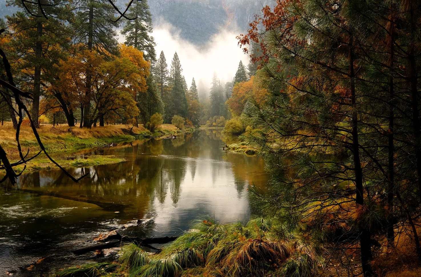 Fog and the Merced river, Yosemite National Park
