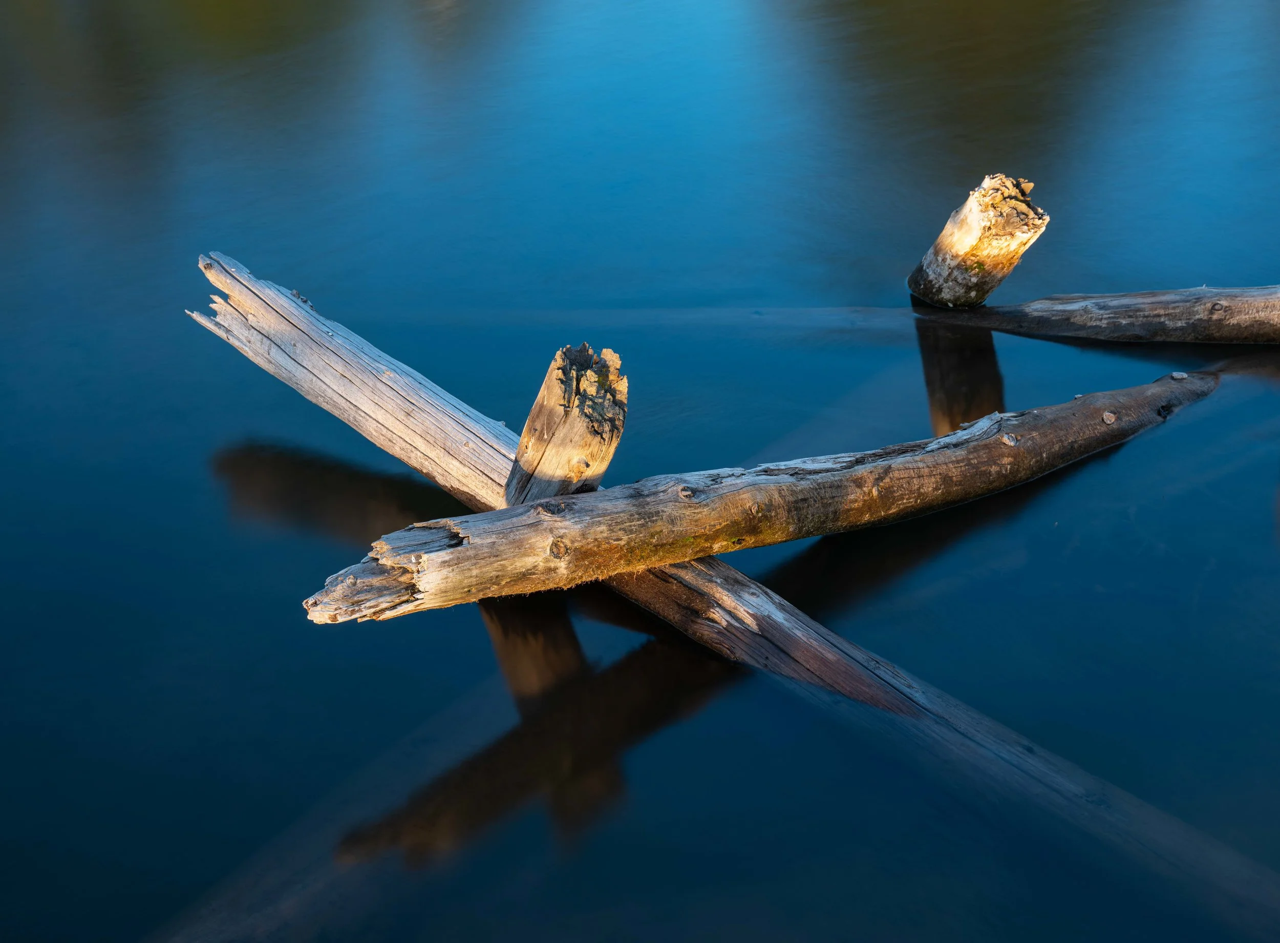 Logs on The Deschutes, Oregon