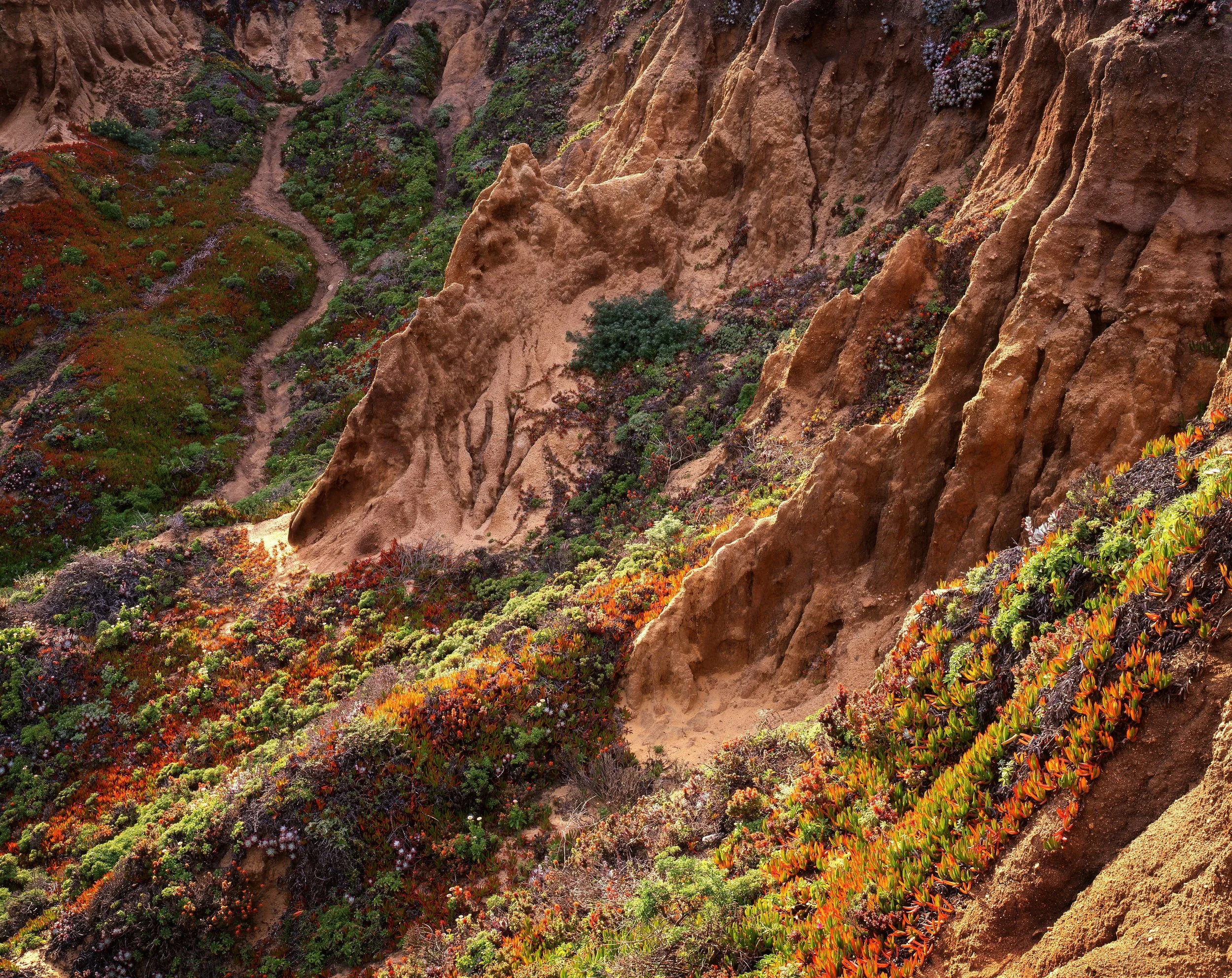 Beachside Cliffs, California
