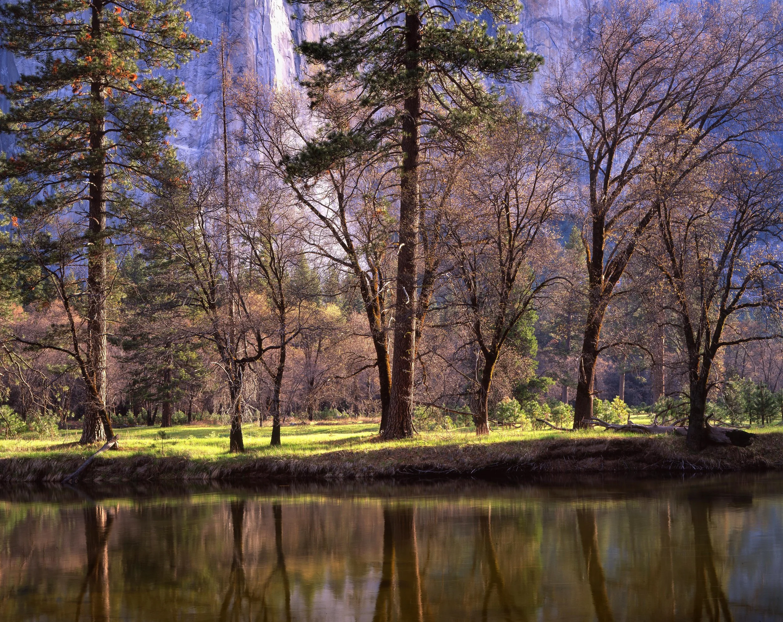 Merced Reflections, Yosemite National Park