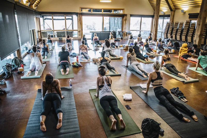 females-to-the-front-yoga.jpg