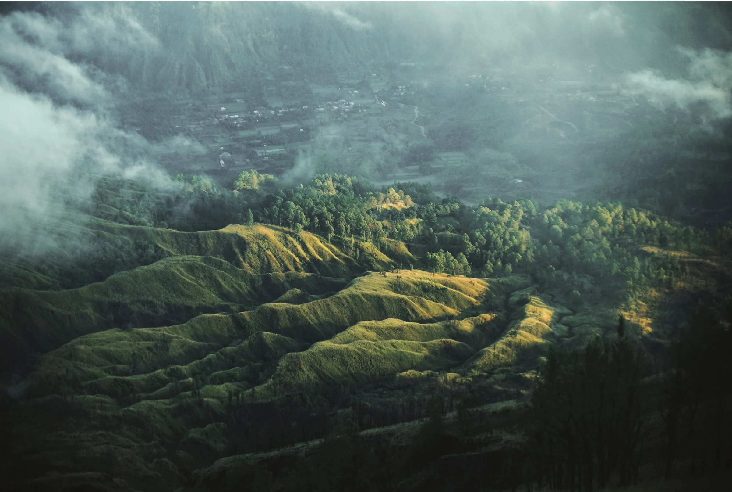 2019-06-08 12.24.45 6.jpg