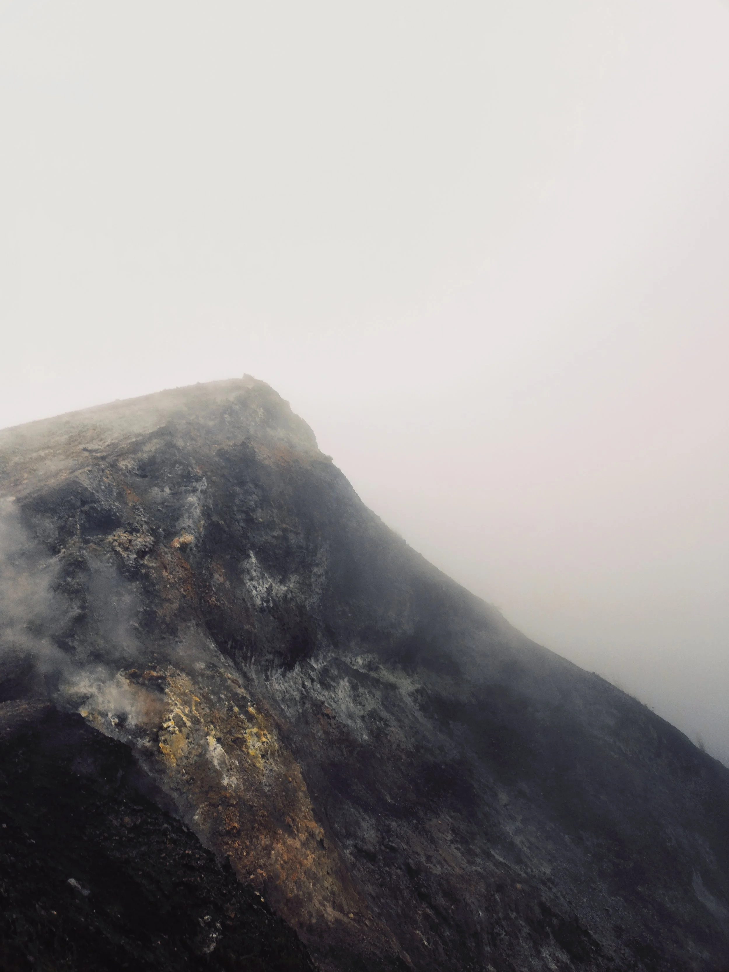 2019-06-09 02.05.14 1.jpg