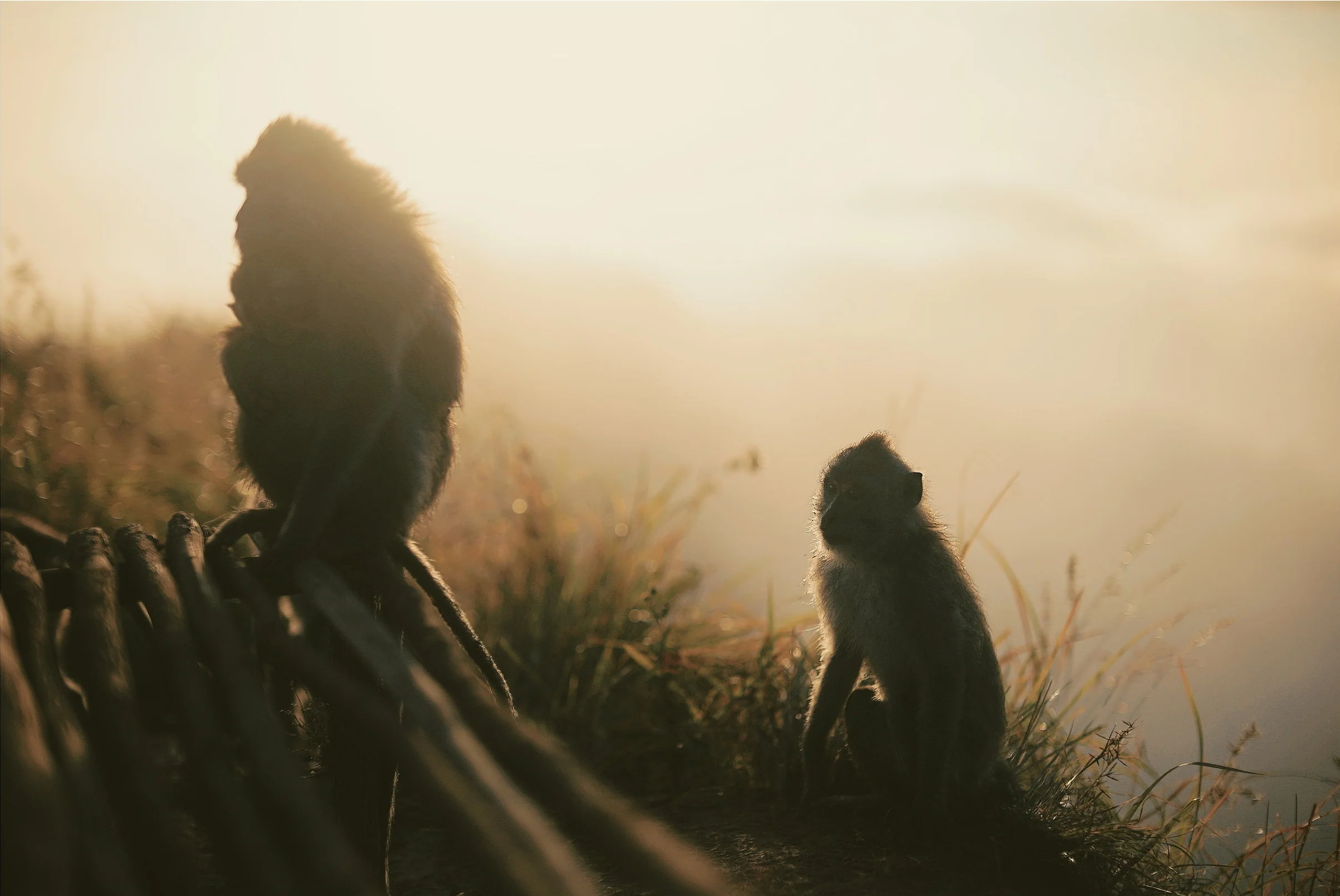 2019-06-08 12.24.44 3.jpg