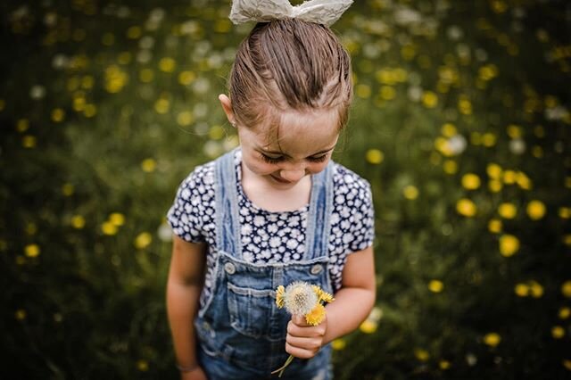 To you it might be a weed. To someone else, it saves the bees 🐝