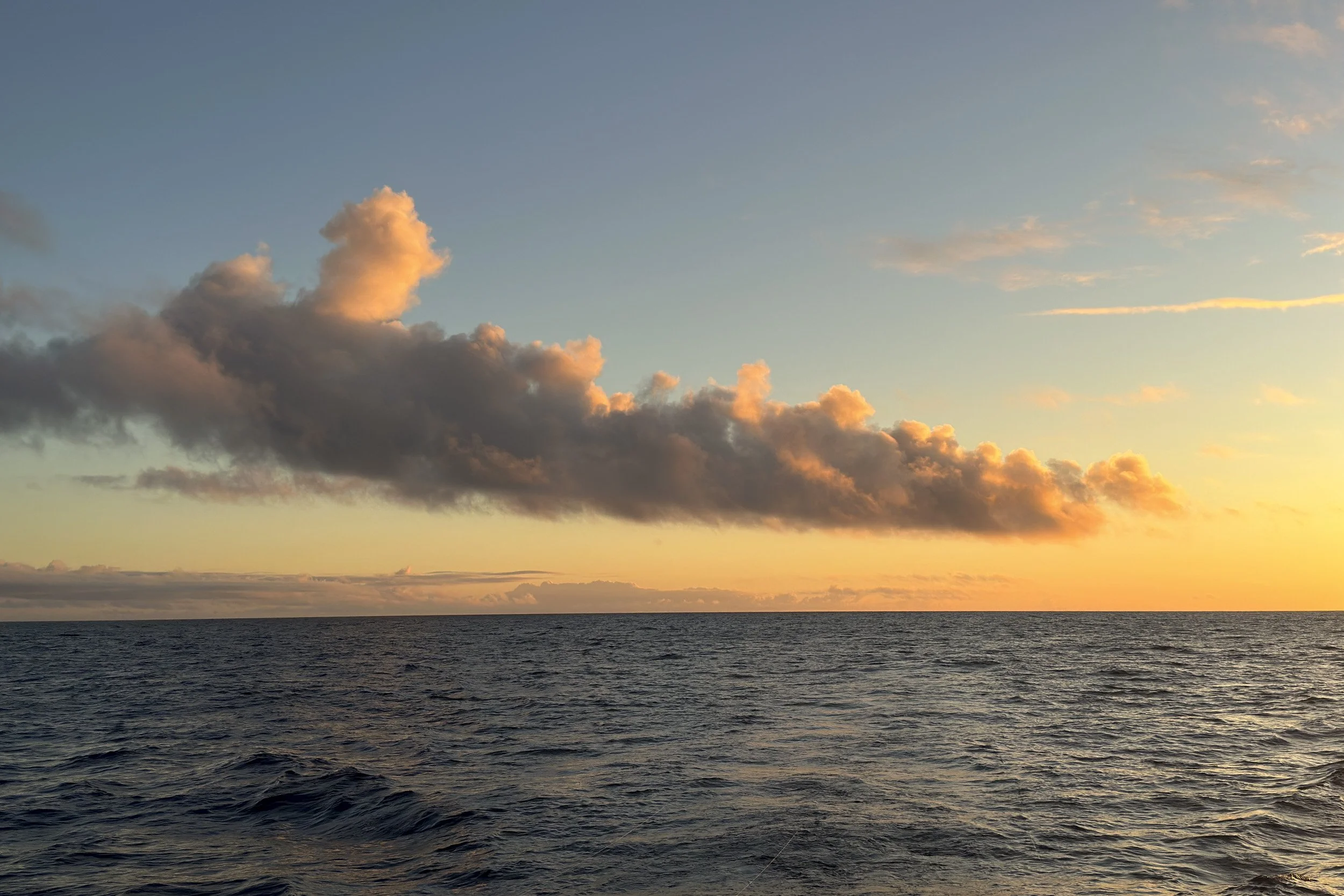 Return Sails (2023-2024)
