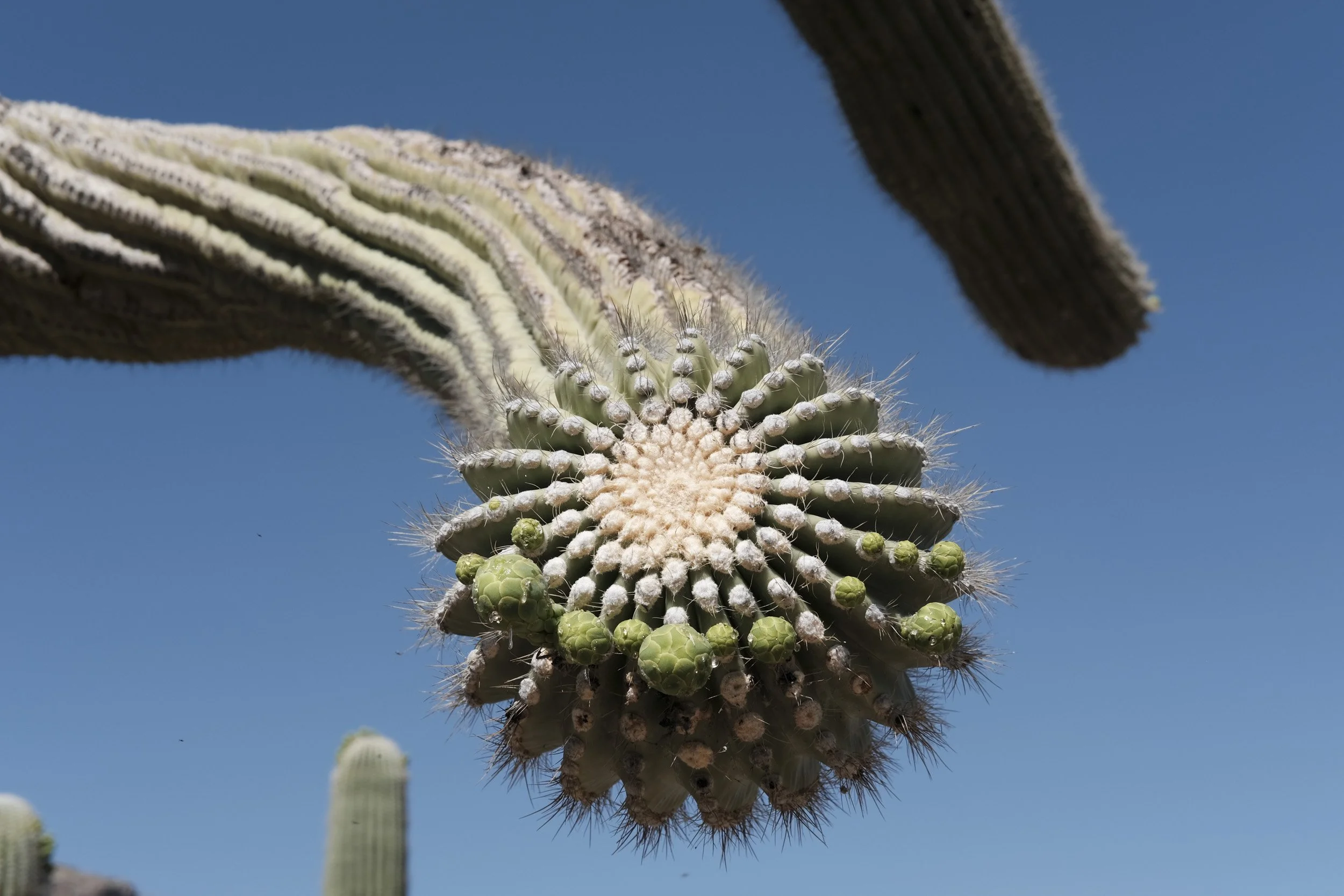 The Great American Southwest Road TripChris R Comings Photography_2.JPG