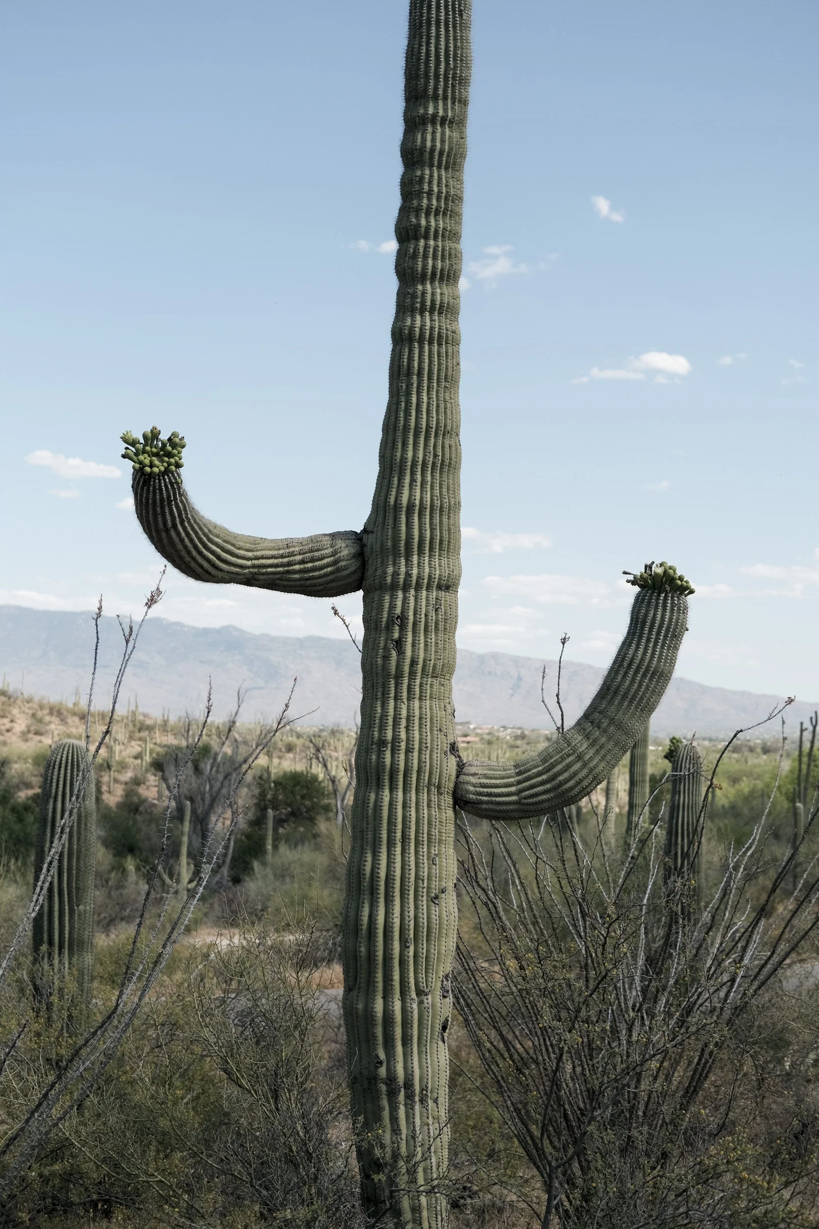 The Great American Southwest Road TripChris R Comings Photography_1.JPG