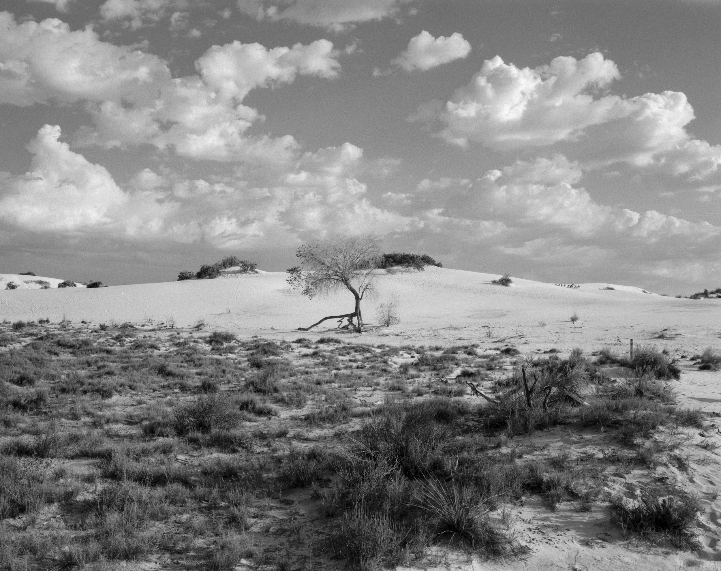 The Great American Southwest Road TripChris R Comings Photography_10.JPG
