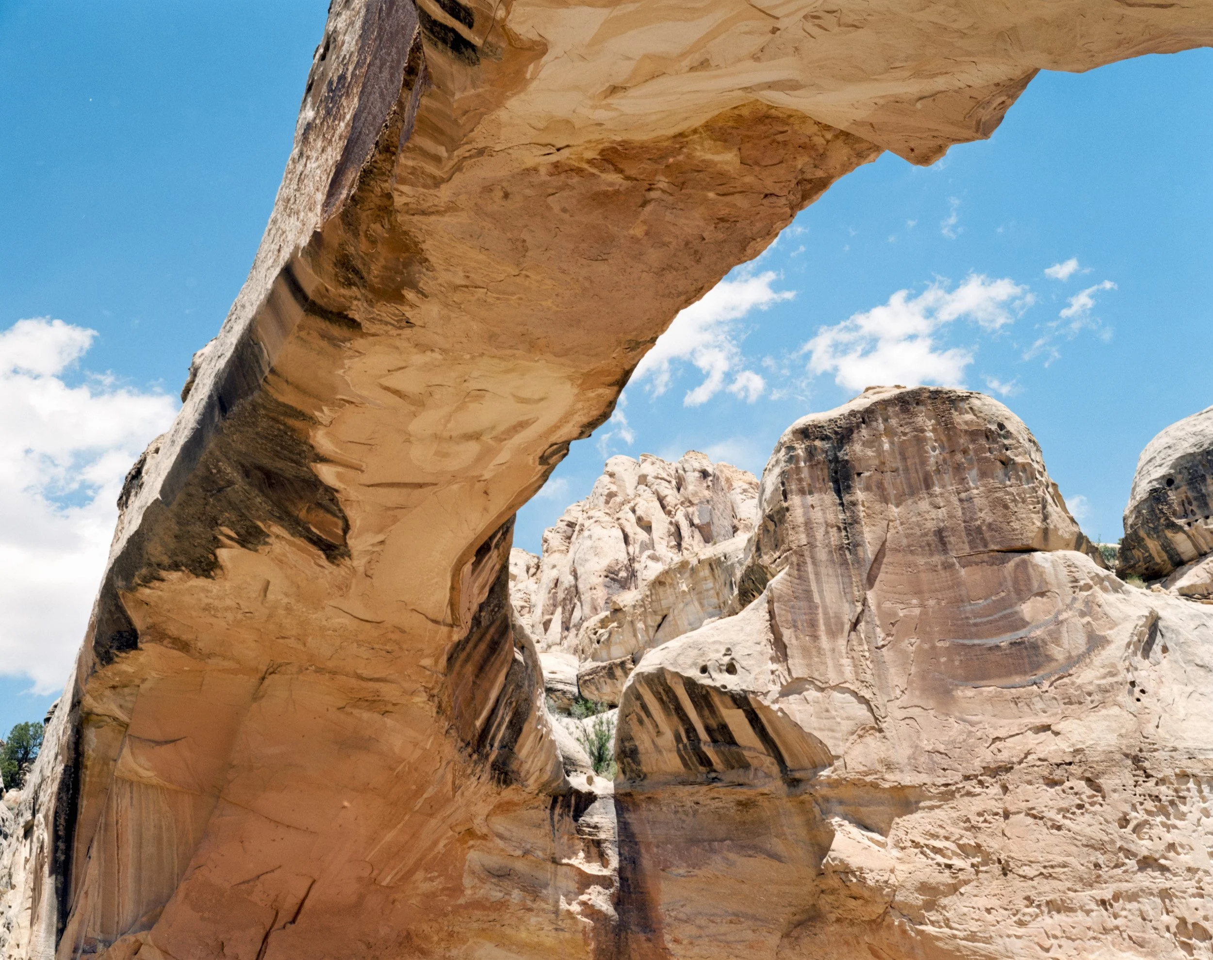The Great American Southwest Road TripChris R Comings Photography_28.JPG