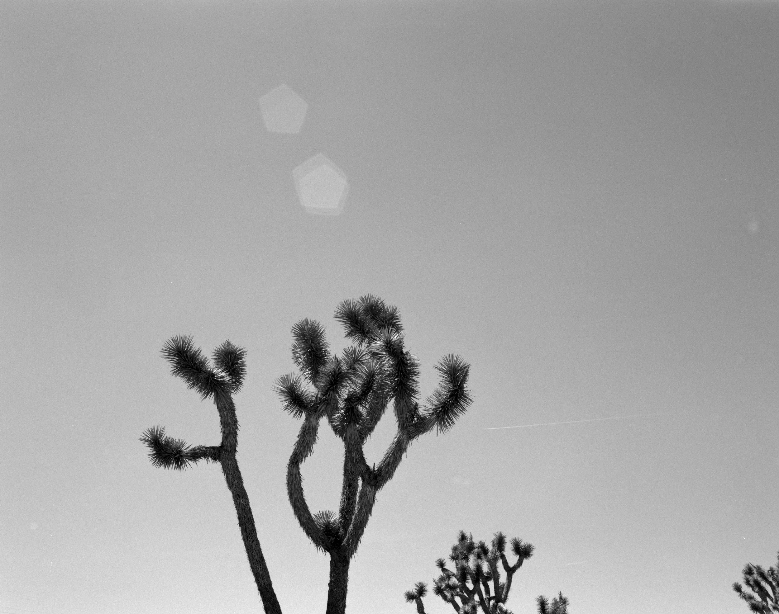 The Great American Southwest Road TripChris R Comings Photography_35.JPG