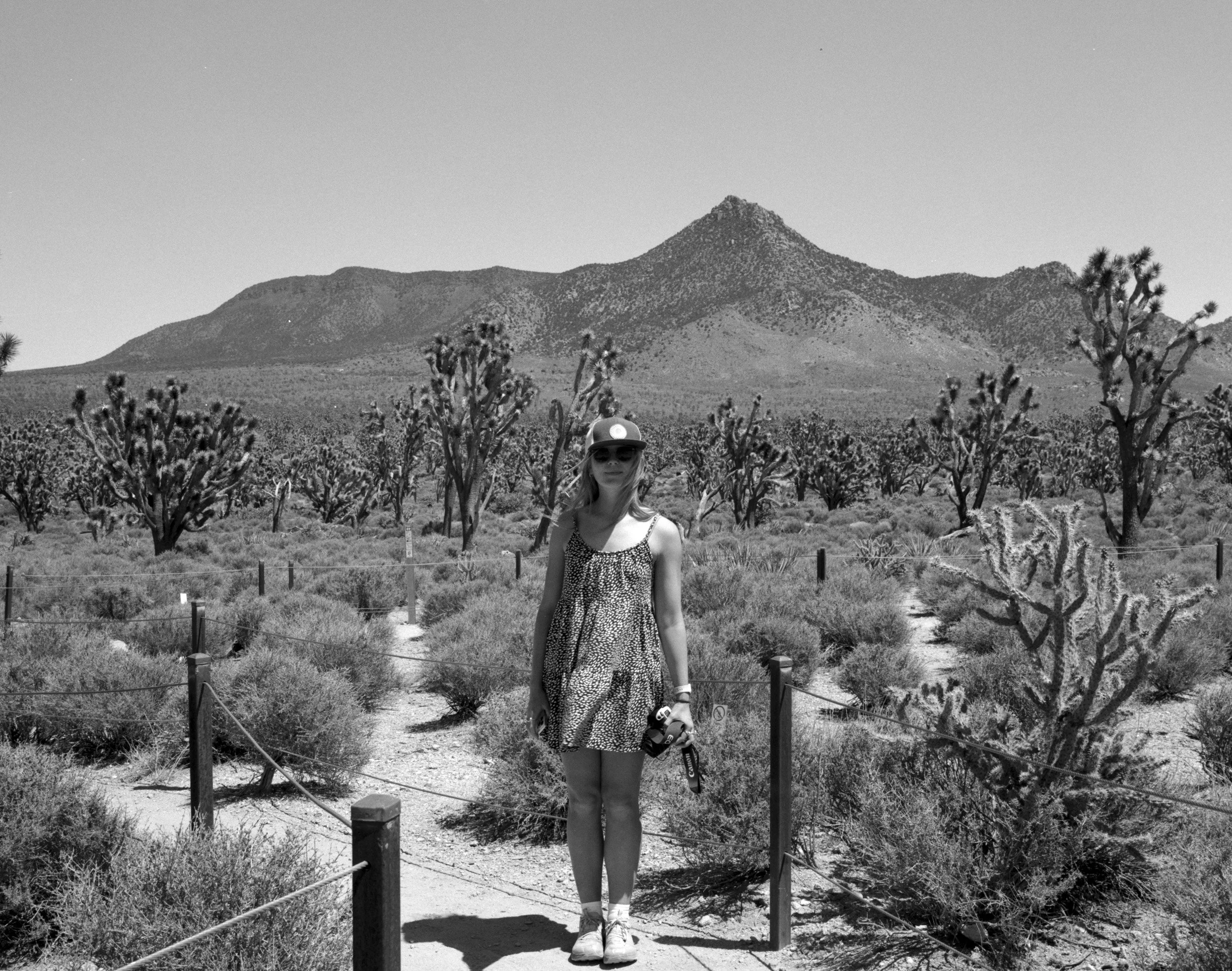 The Great American Southwest Road TripChris R Comings Photography_36.JPG