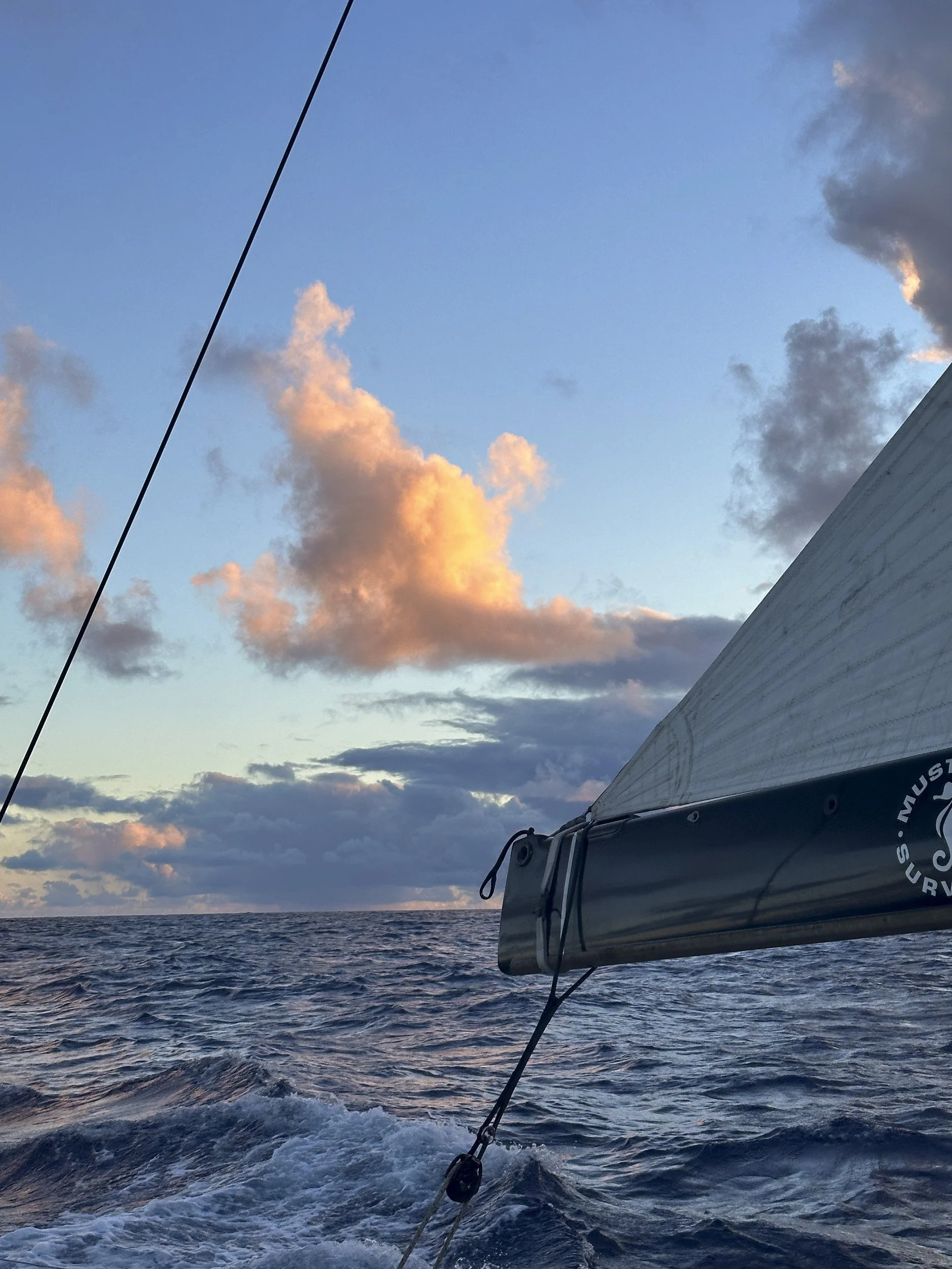 Return SailsChris R Comings Photography.JPG