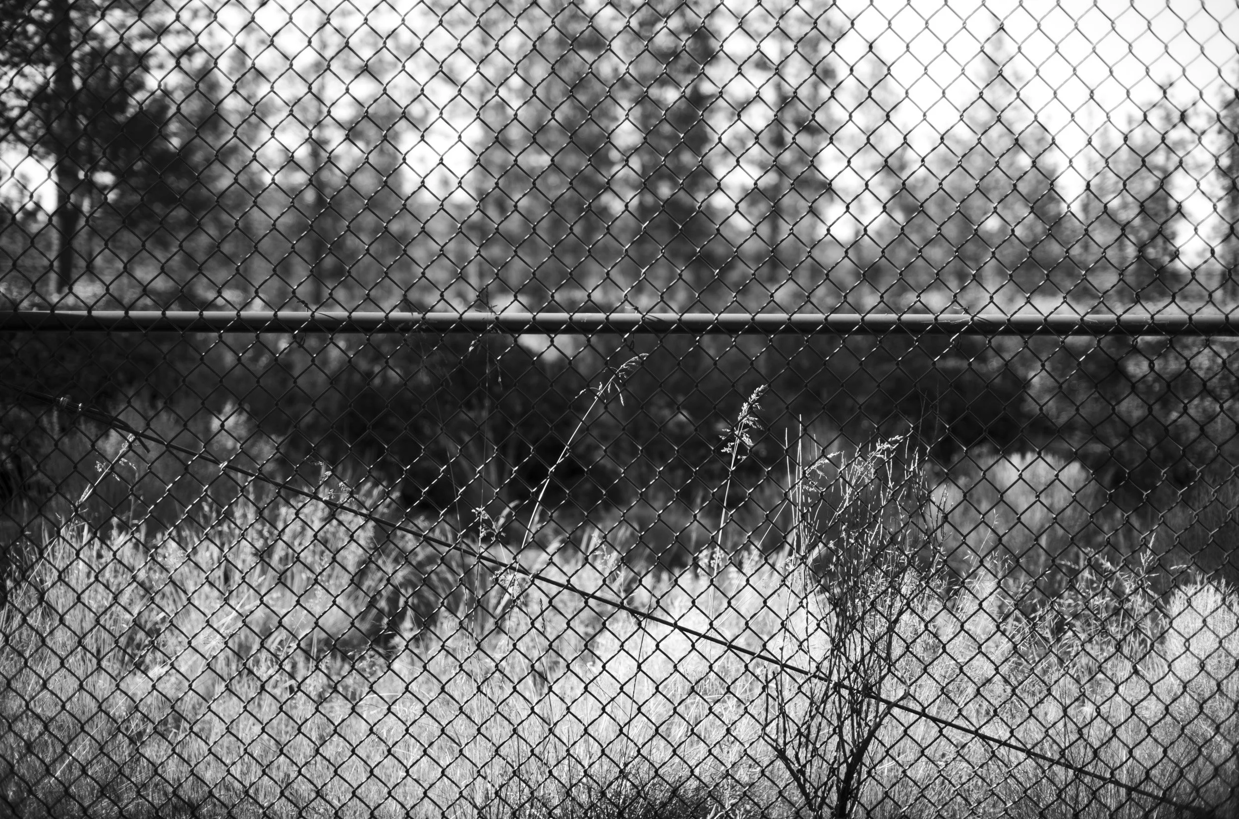 Oregon BW Horizontal Chris R Comings Photography_2.JPG