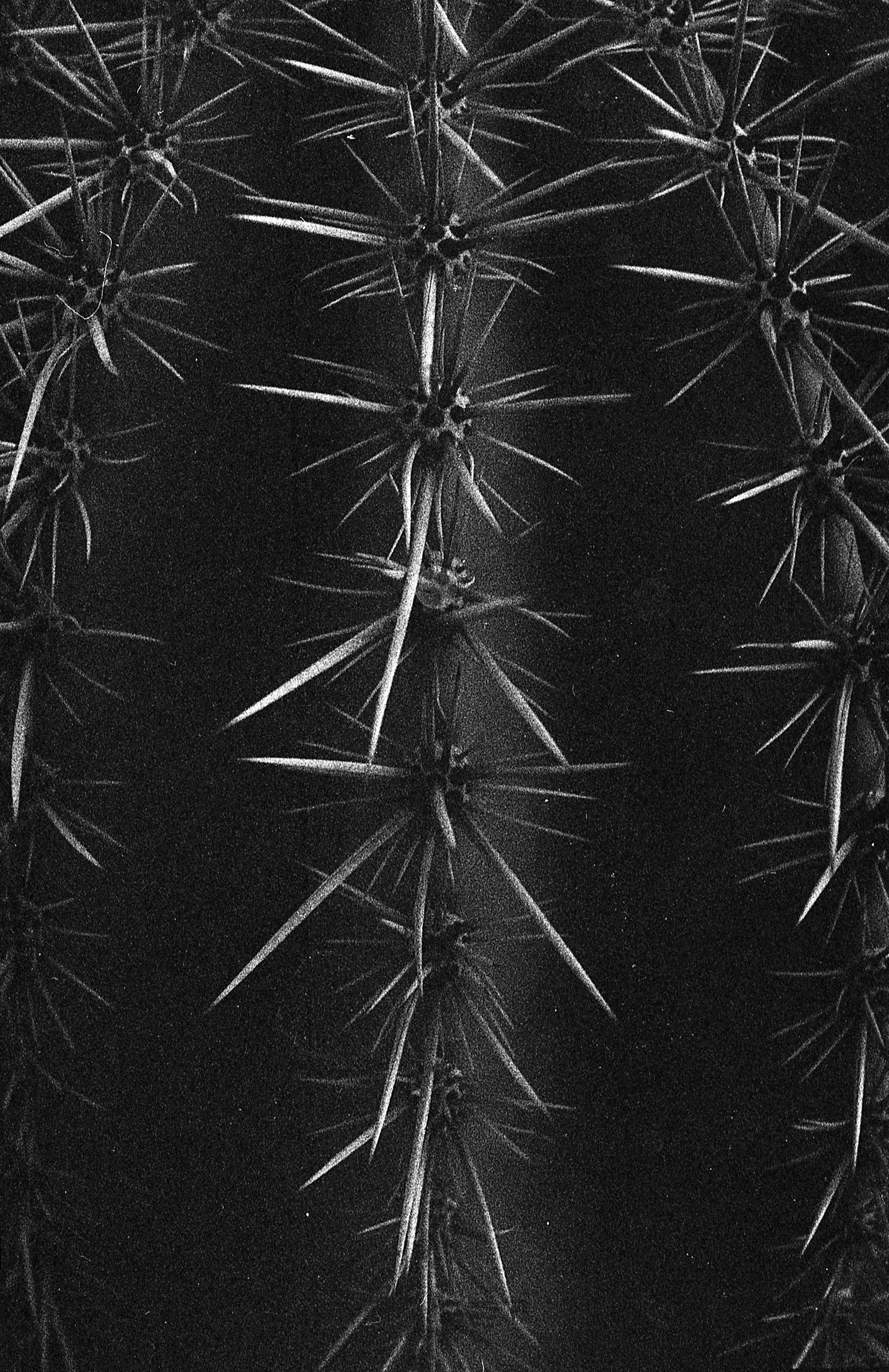Arizona BW Vert Chris R Comings Photography_1.JPG
