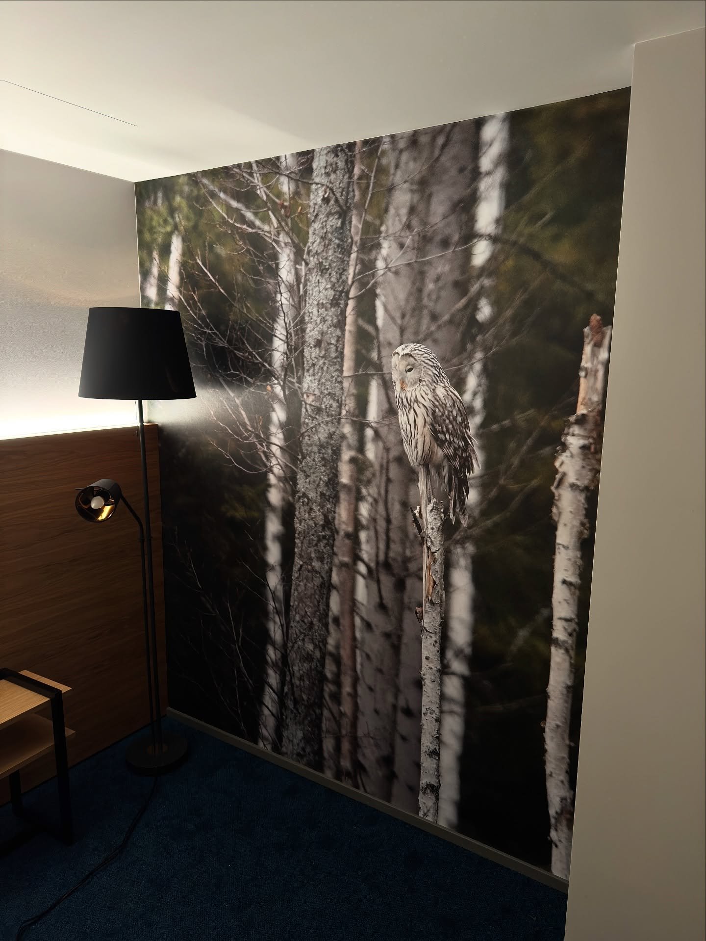 #tapeedispets
#tapeetimine
#fototapeet 
#kodudisain
#kodu
#sisekujundus
#kodukujundus
#interj&ouml;&ouml;r
#tapeet
#tapetit
#обои
#remont
#wallpapering
#wallpaperhangers
#tapeedipaigaldus
#interior
#instahome
#homedecor
#interior4all
#furniture
#home