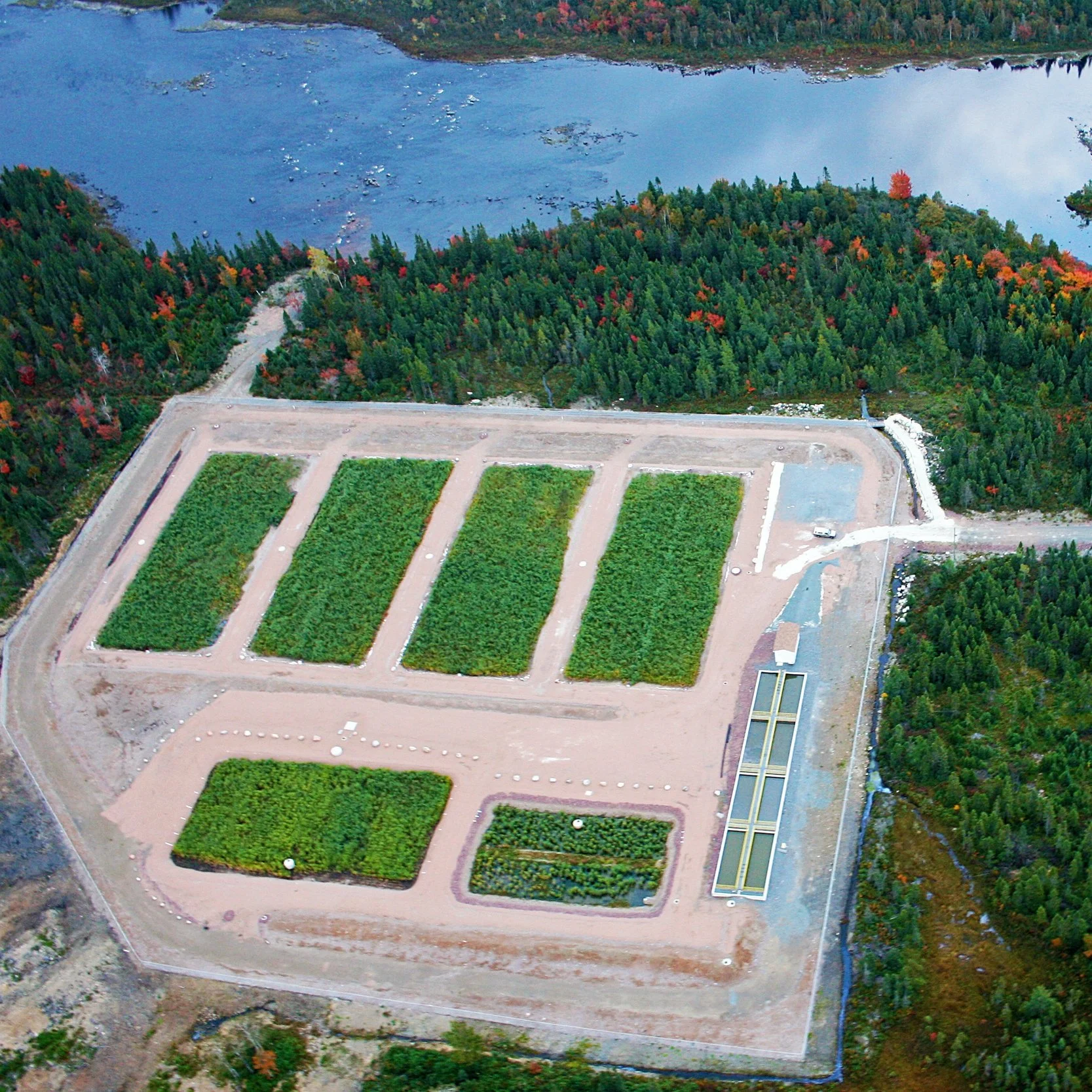 Abydoz Engineered Wetlands Canada reed bed