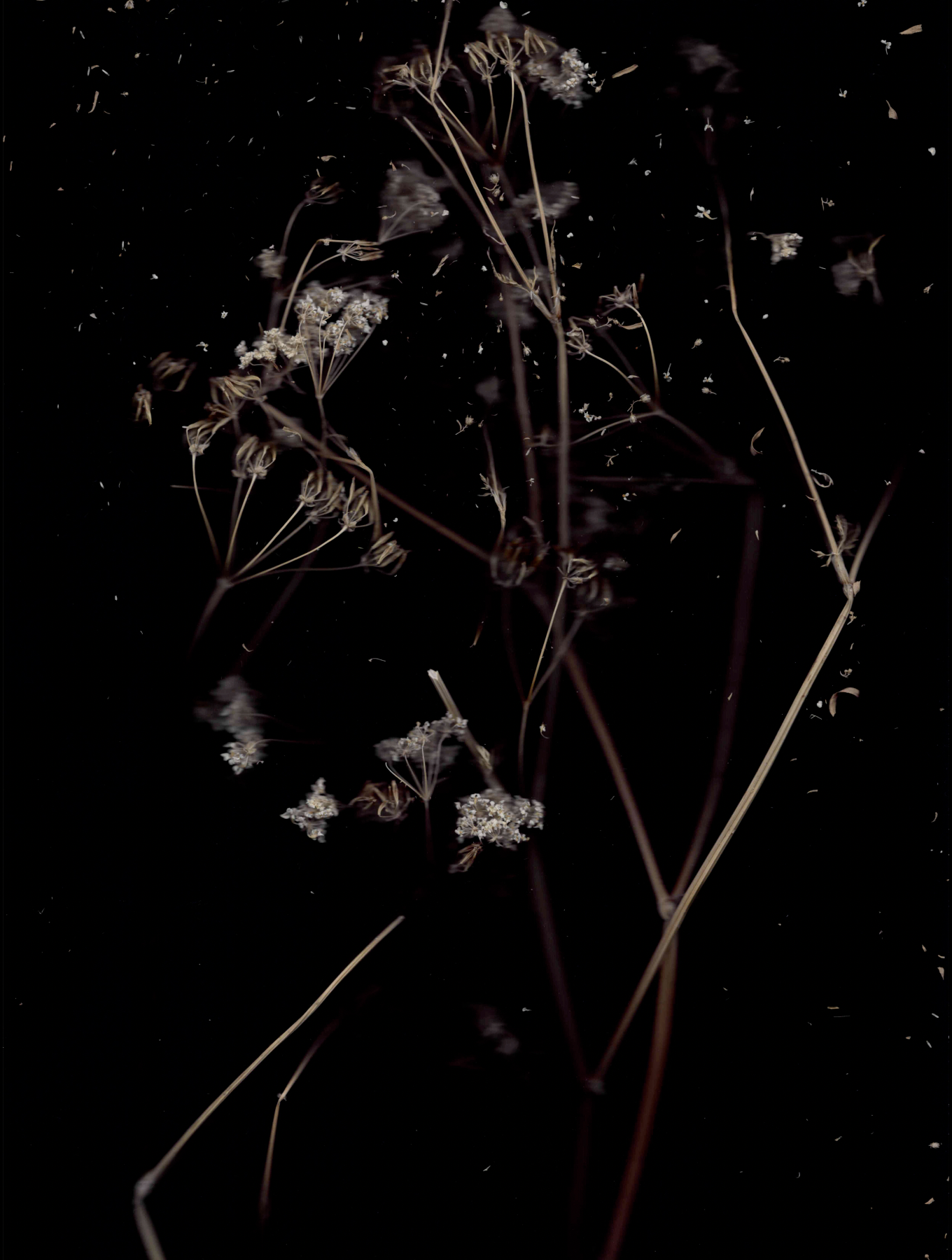 sophiedevos-We're Still Dancing in the Storm02-web.png