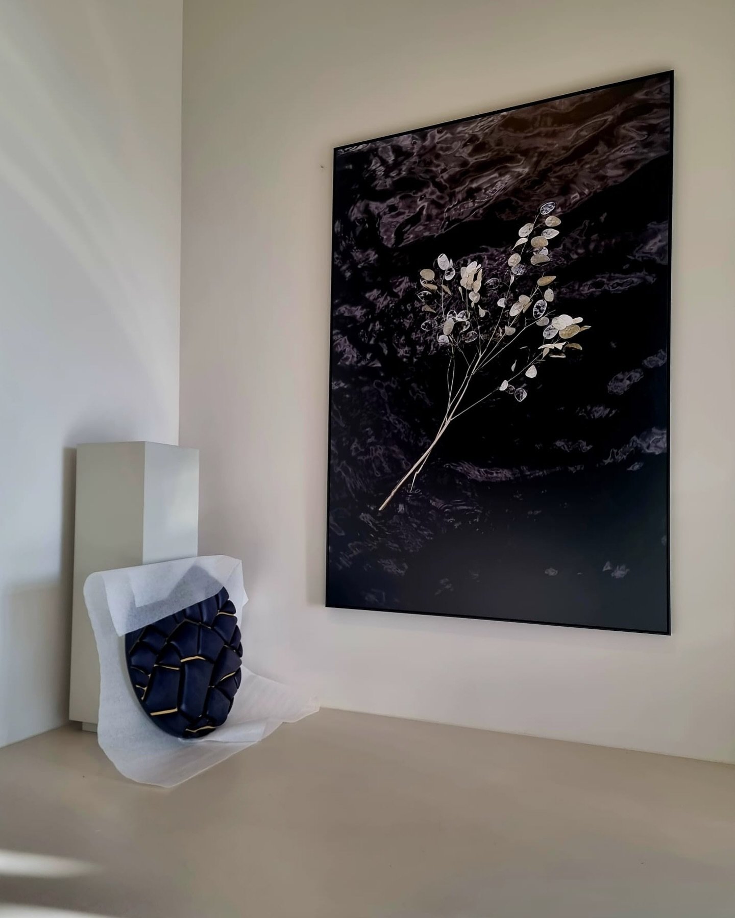 The Depths of Black 🖤
You probably noticed that I often find myself drawn to the color black in my photography (and wardrobe 🕴️)
Collected some info on that: throughout art history, black has been a powerful choice for backgrounds. Often associated