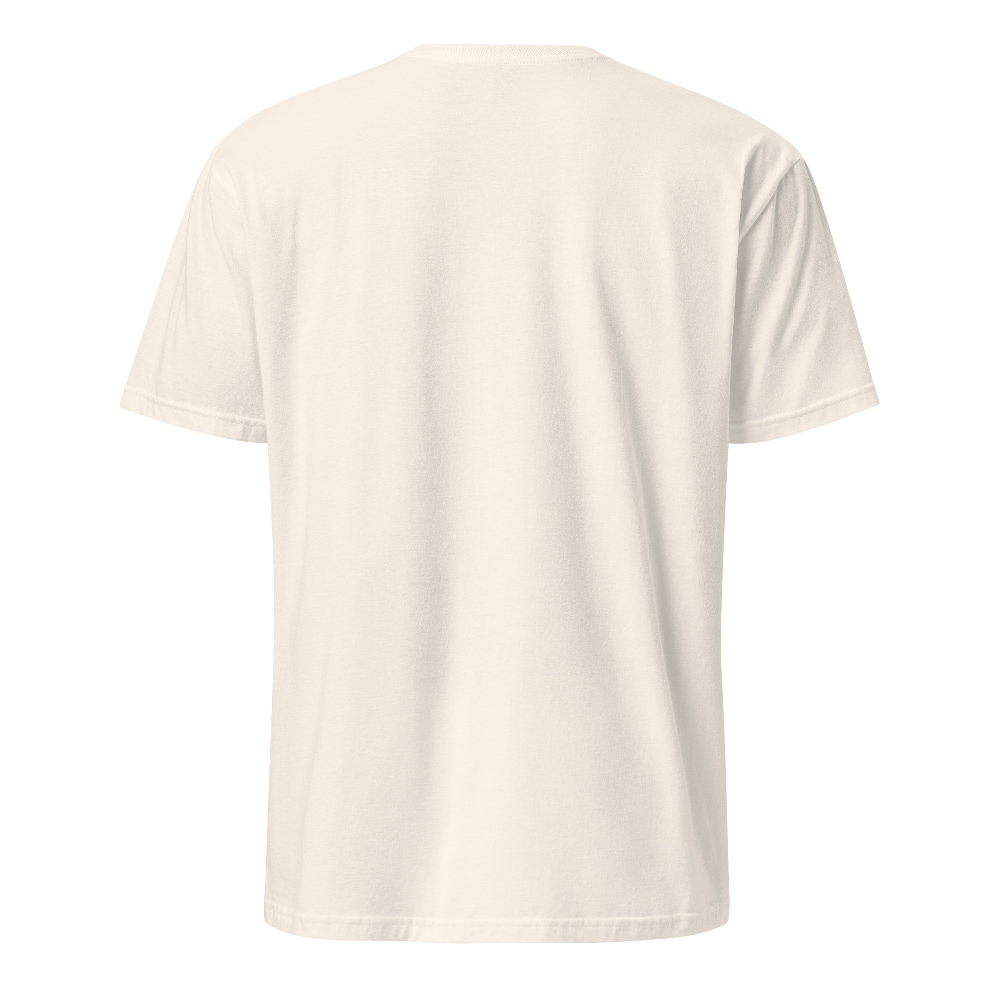 unisex-basic-softstyle-t-shirt-natural-back-6a22c993c5f98.jpg