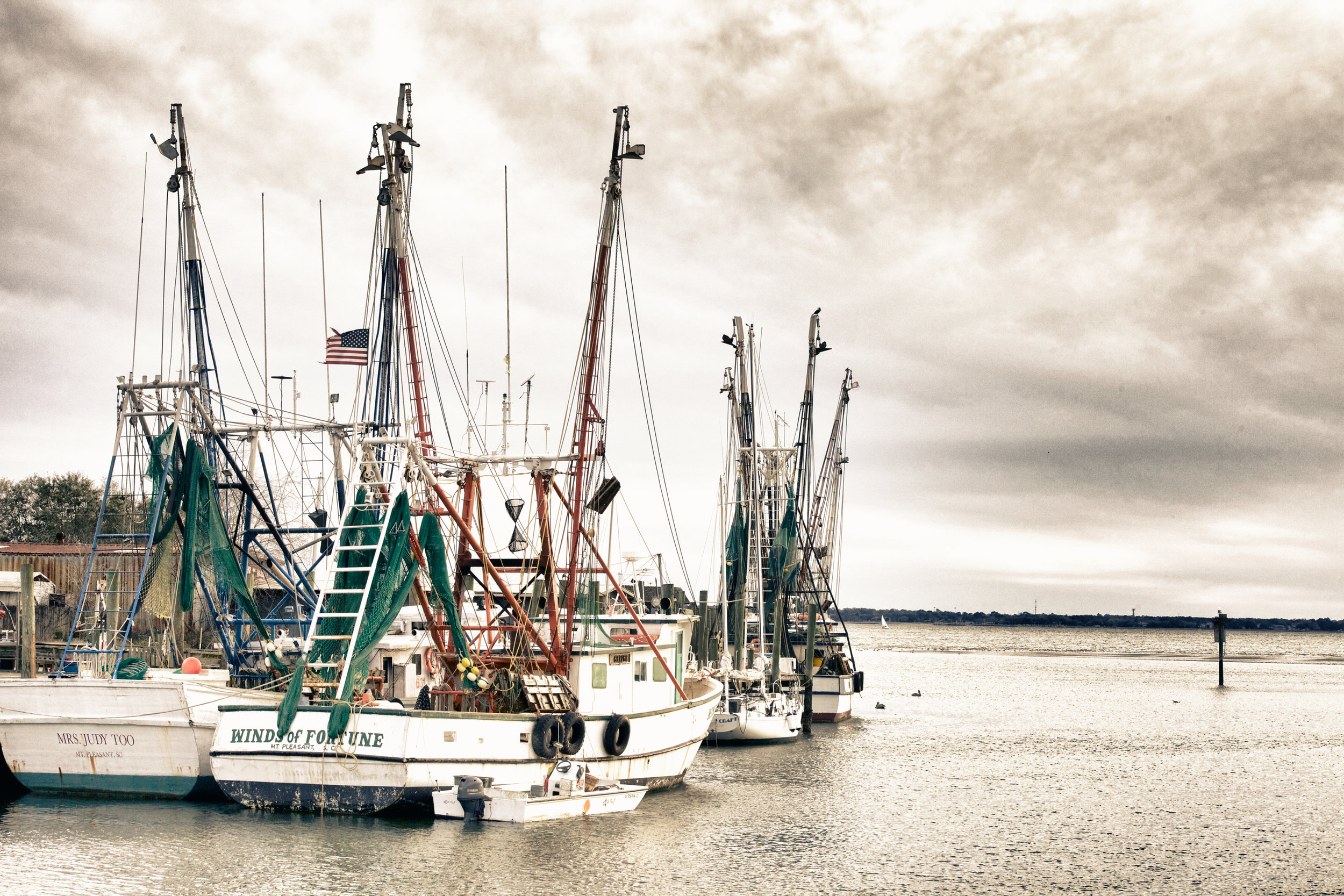 Furry, feathery and scaly friends