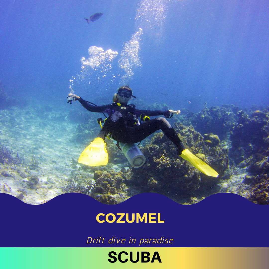 Cozumel / Rivera Maya, Mexico Details coming soon.
