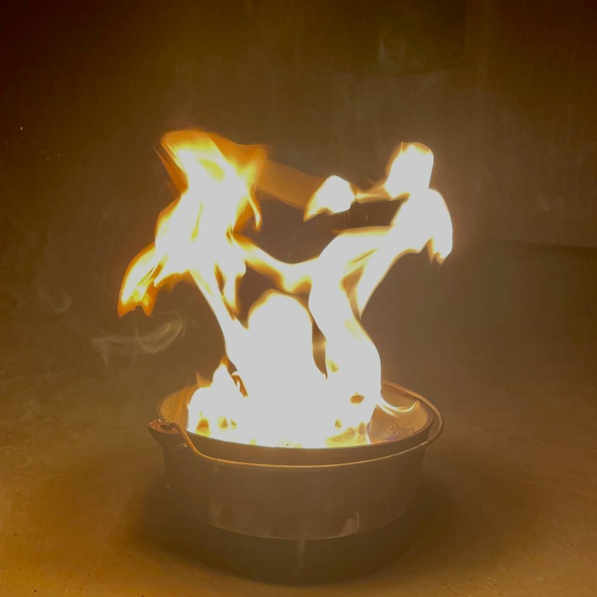 Summer - An Invitation to Curiosity