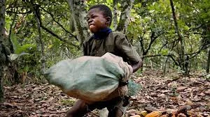 Inside the 14-Year Long Legal Battle Between Nestlé and Six Former Forced Laborers