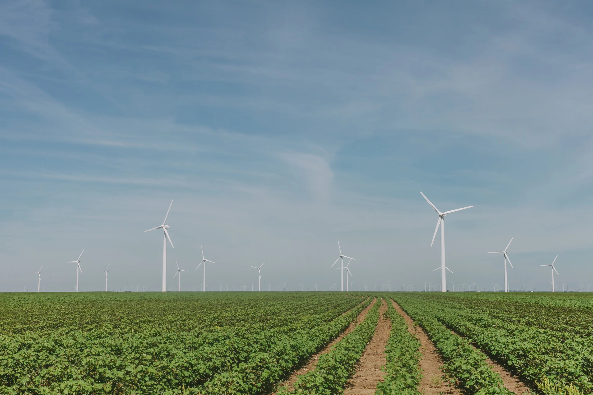 Legal Framework of Offshore Wind Energy
