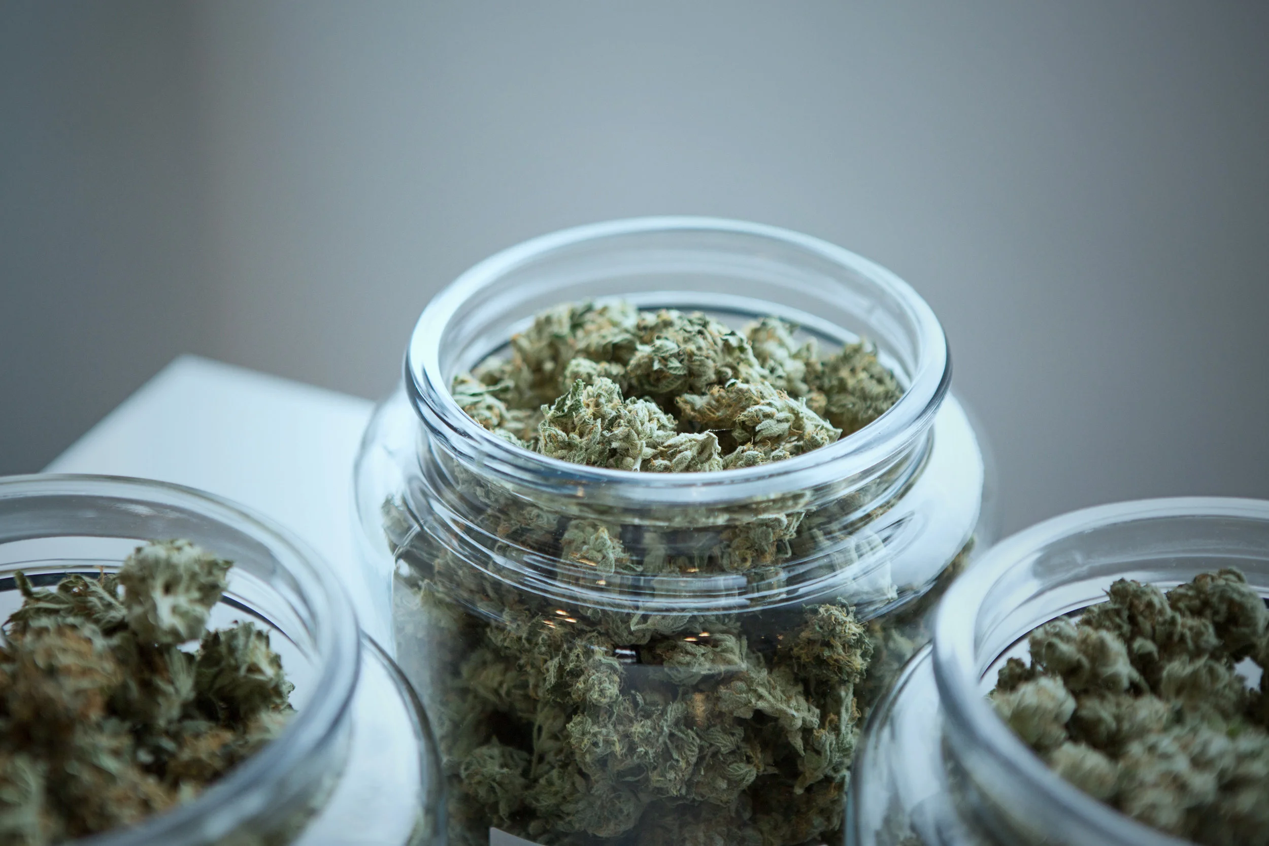 Standardizing Marijuana Metrics: Challenging Law Enforcement’s System of Perfunctory Oversight
