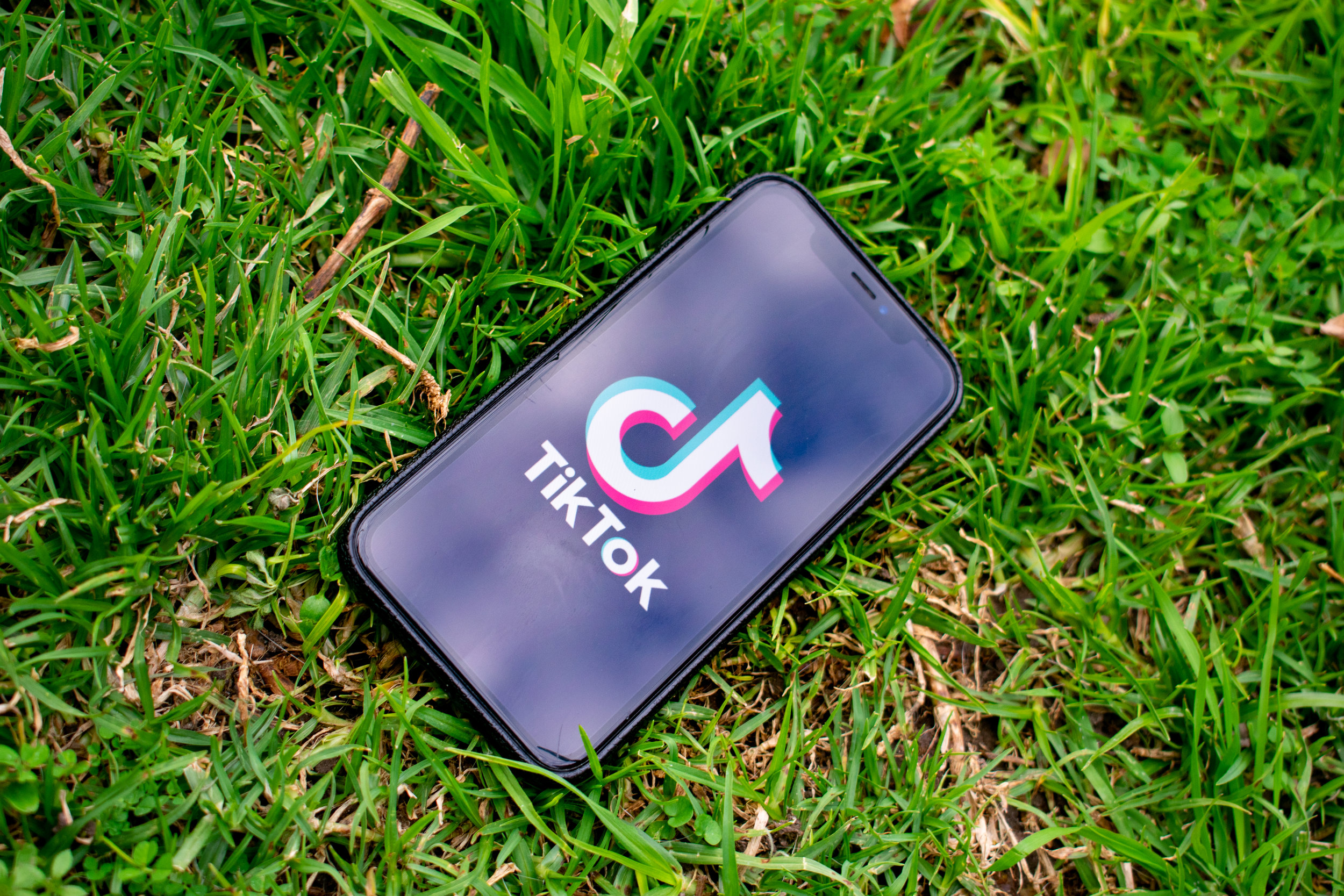 TikTok: The Newest Social Media Trend or a Threat to National Security?