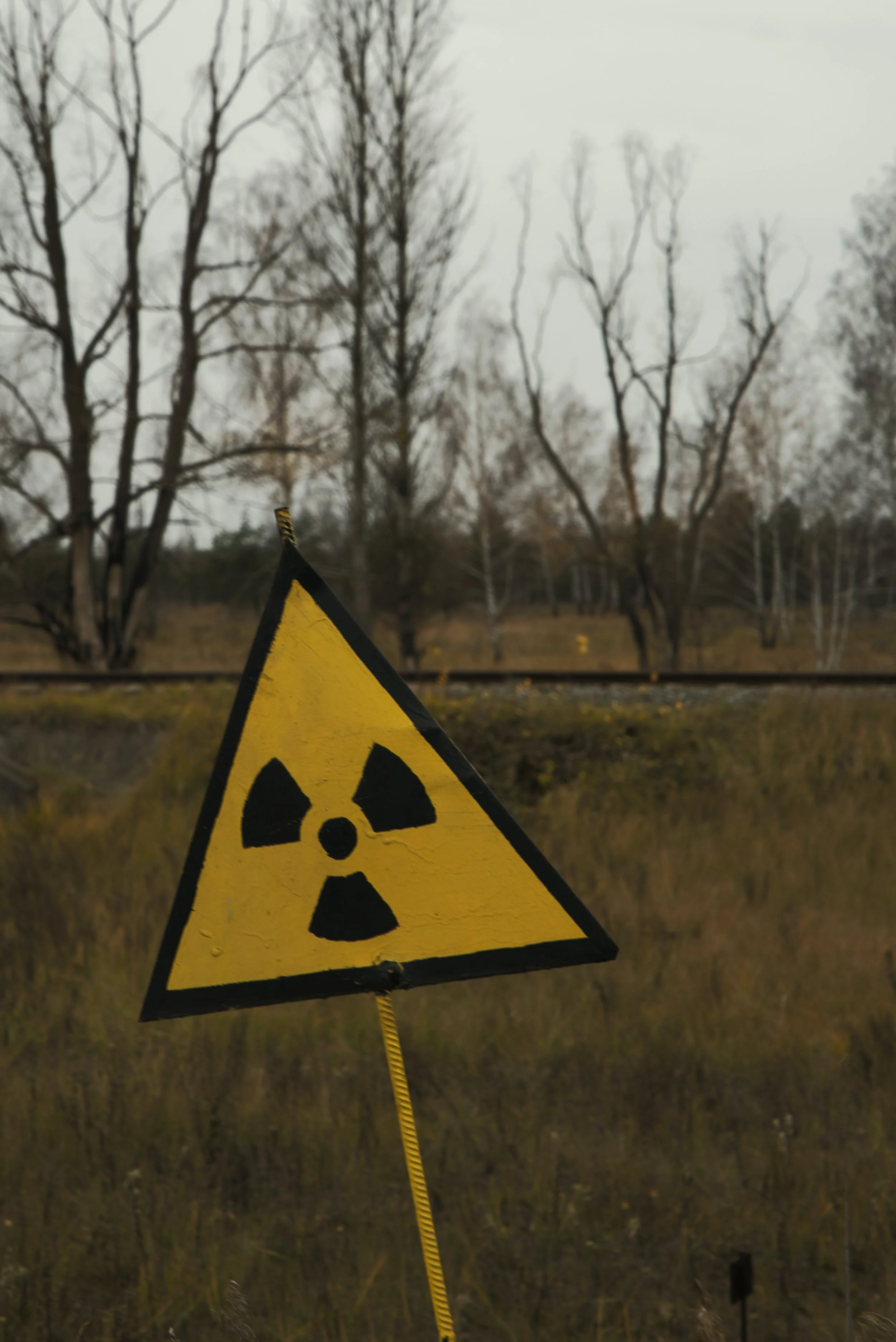 The UN Treaty on the Prohibition of Nuclear Weapons—Fruitful or Futile?