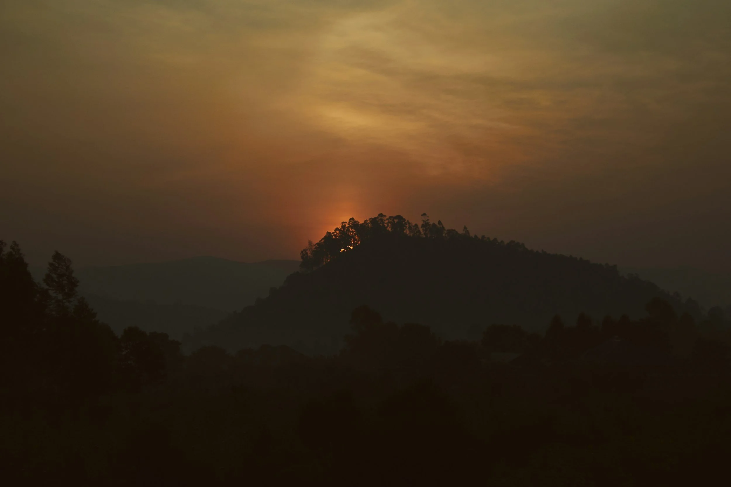 The Safety of Rwanda Act: Impacts on the Principle of Non-Refoulement and Refugeeism